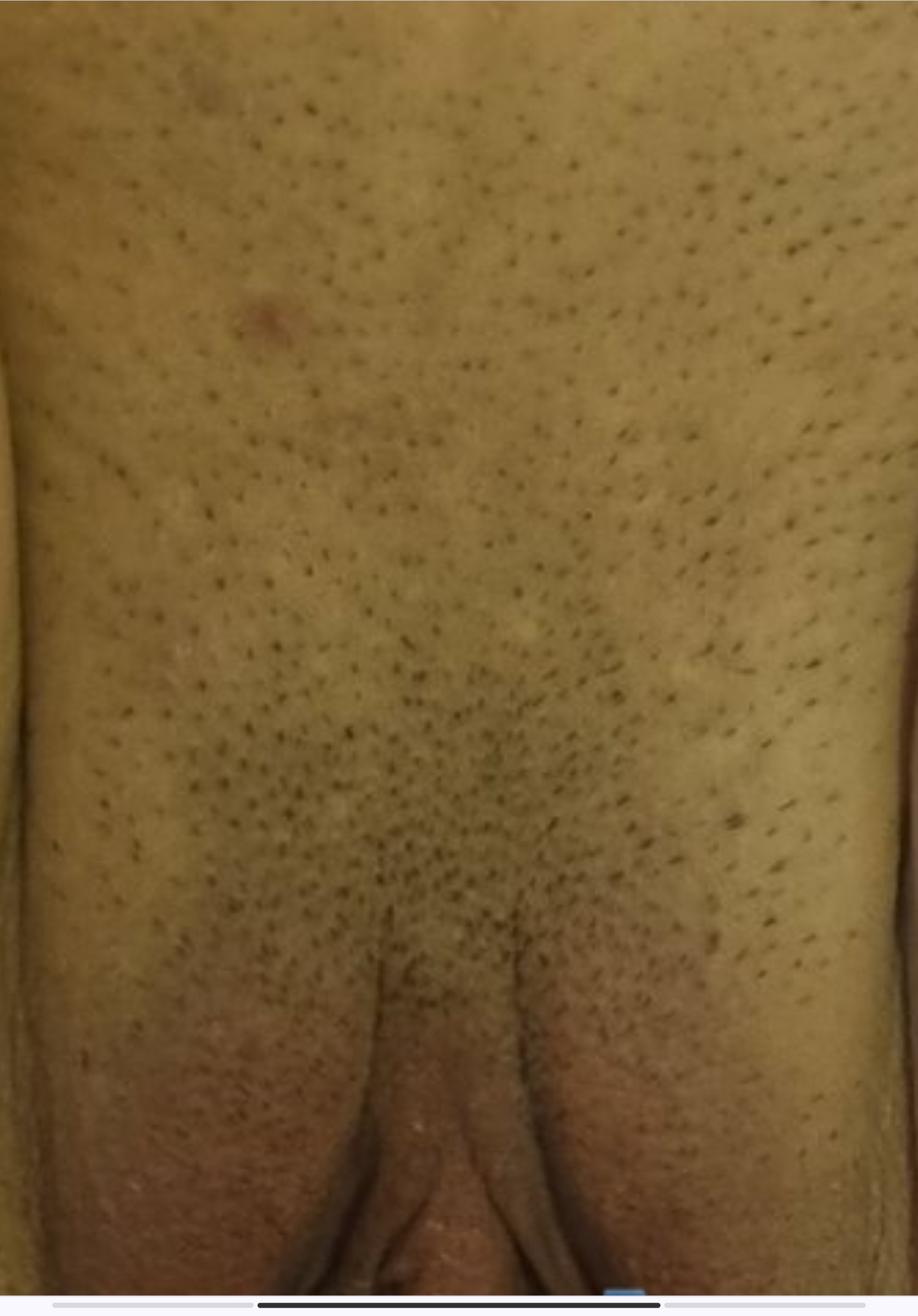 103871-65917ffcb2cb.jpg