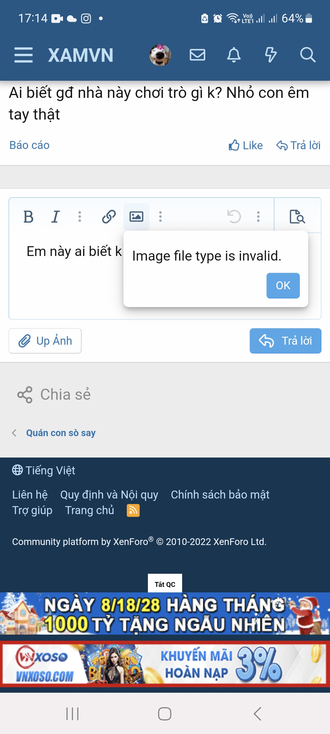 113780-108fb9e5e44f.jpg