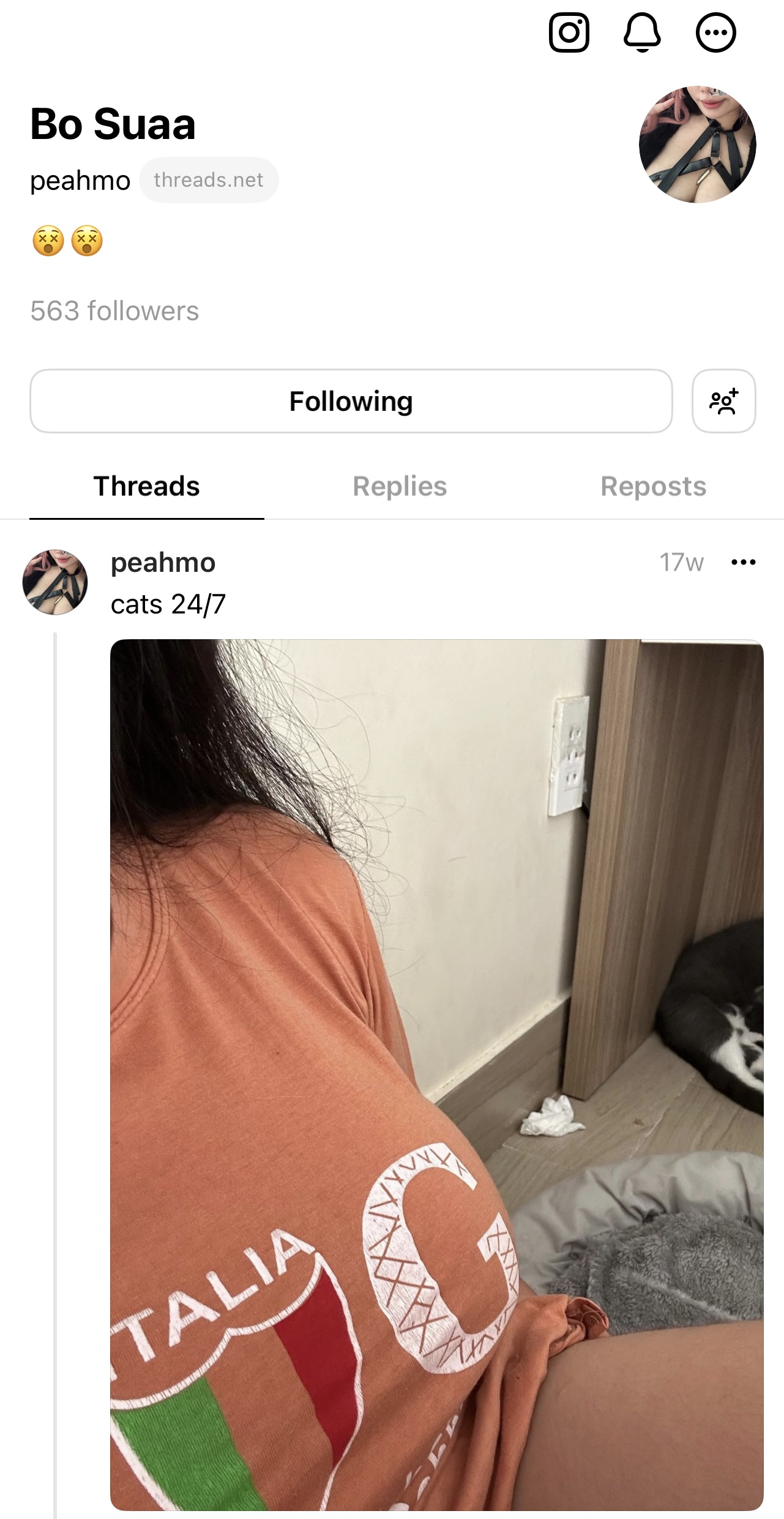 117255-d0c3a865a09e.jpeg