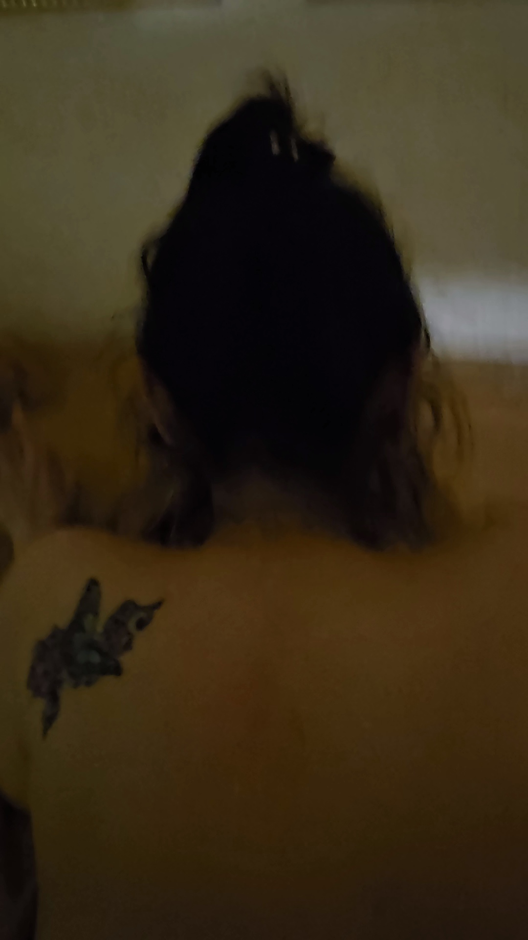 118662-69e6d155f316.jpg