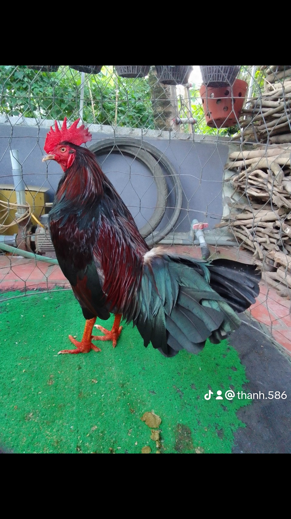 134120-3f5421b91677.jpeg