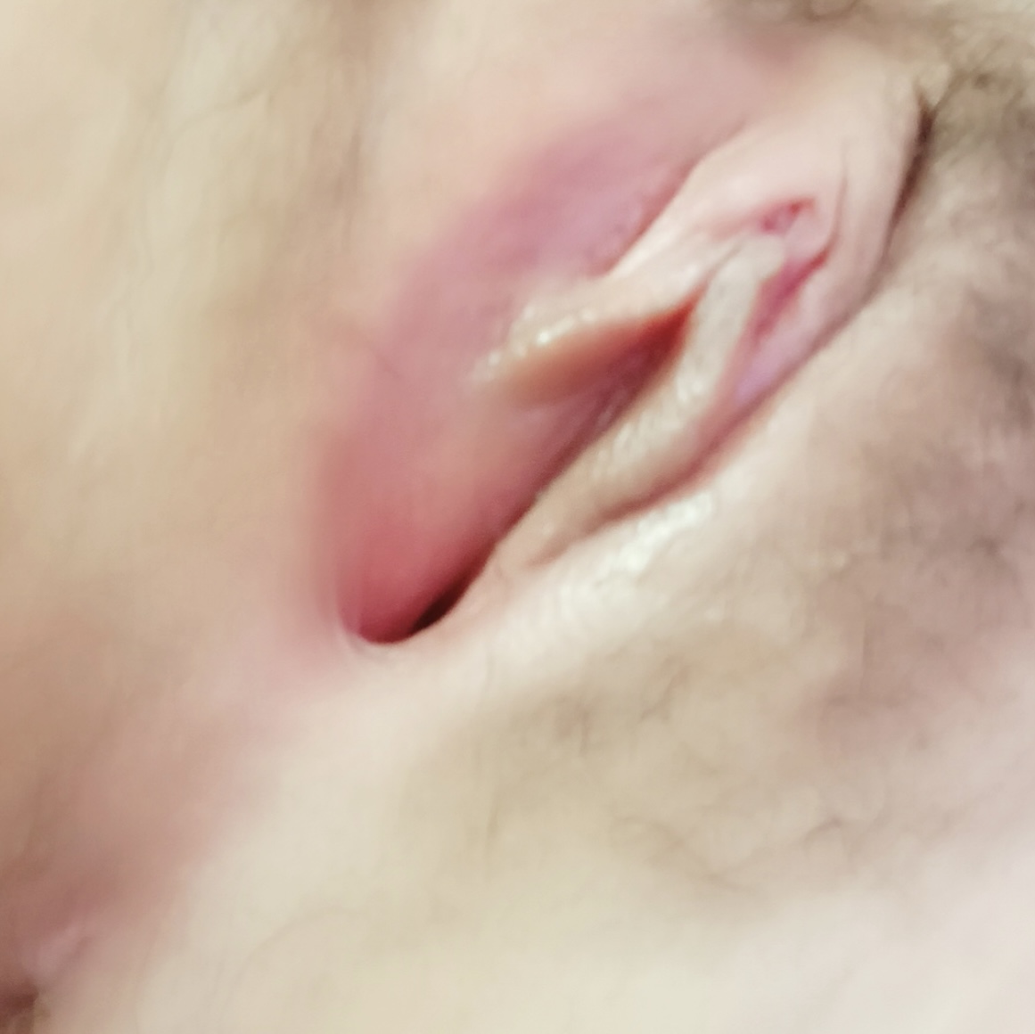 145028-c6511c7f40cc.jpeg