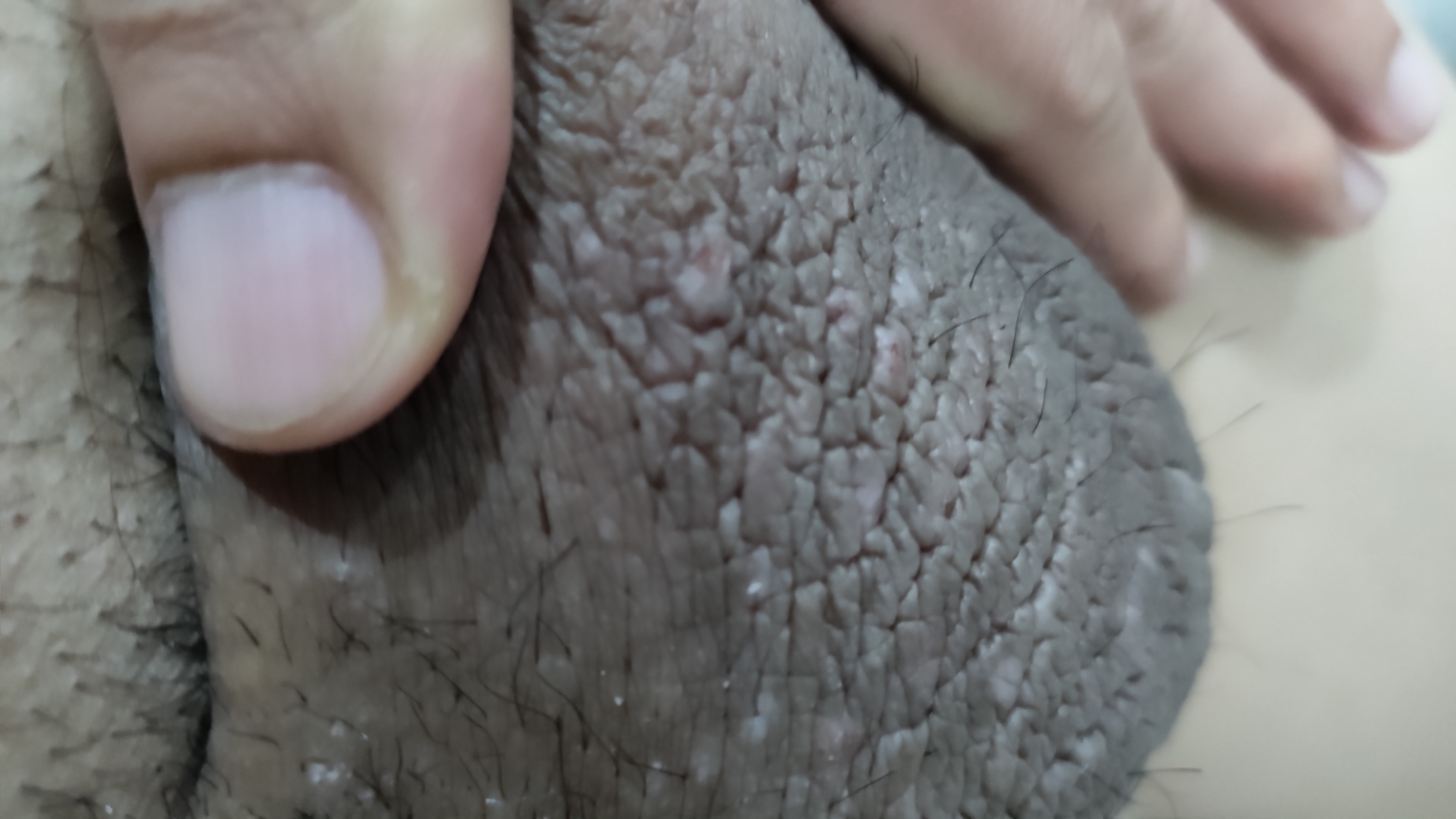 145512-f865325cc65d.jpg