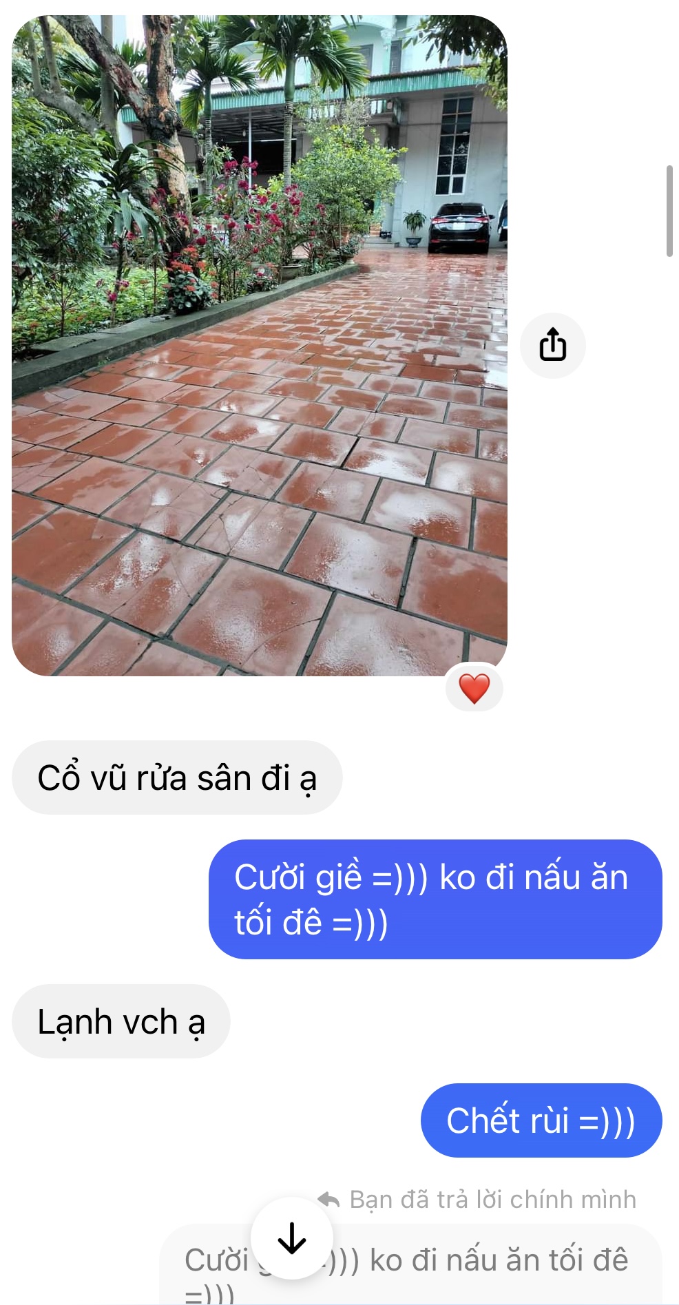 145569-35550f5f80d8.jpeg