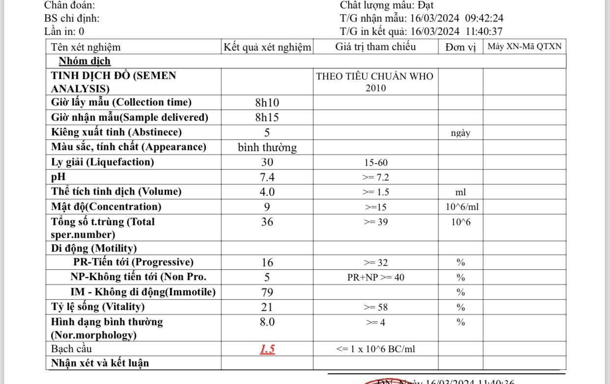 153025-eb56a618d784.jpeg
