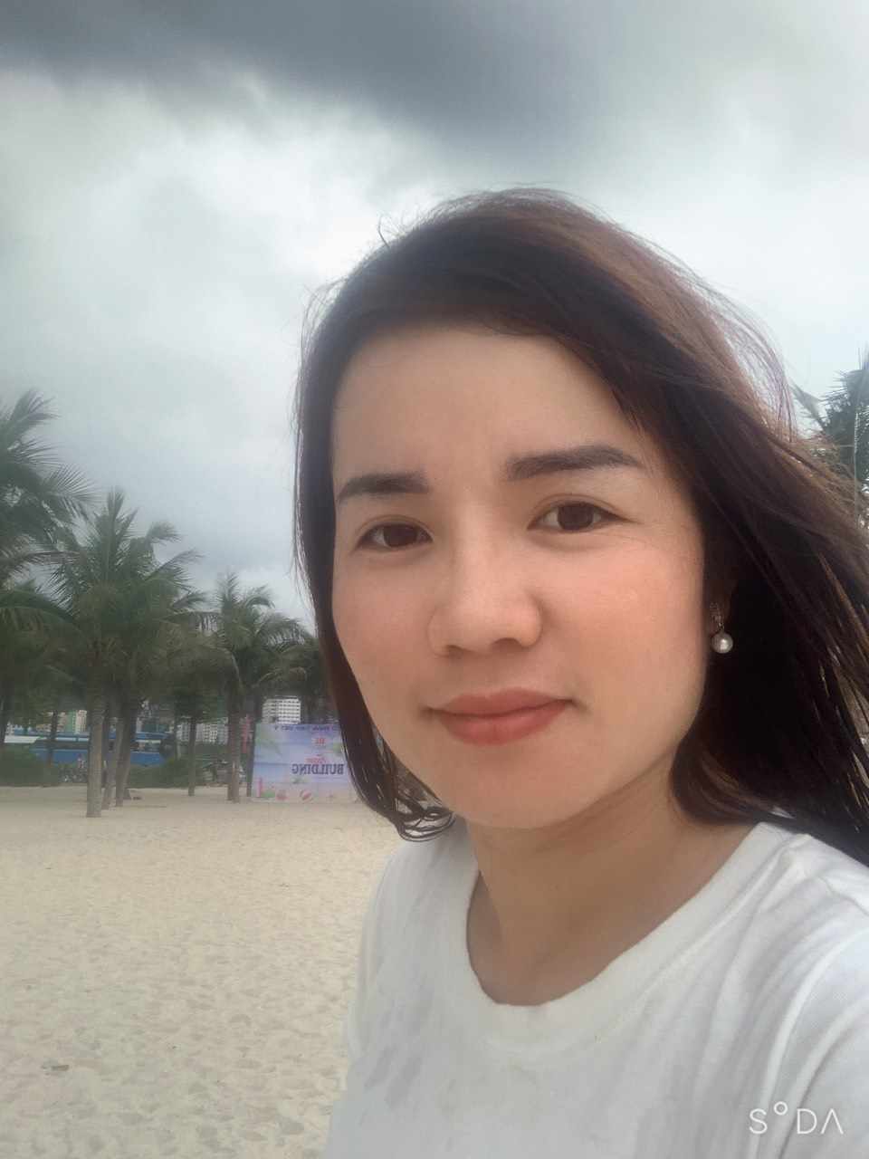 157033-e8036a91e14a.png