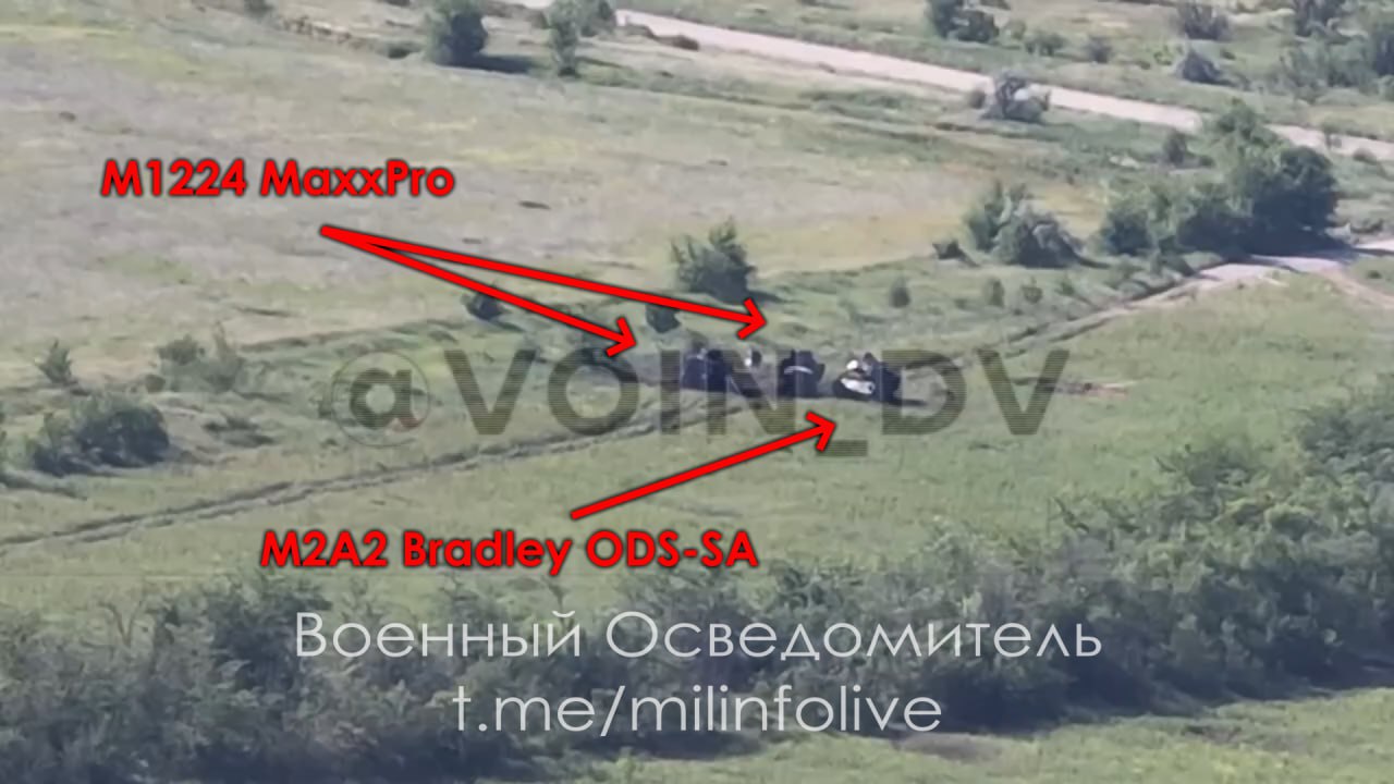 16487-1e6885ad4541.jpg