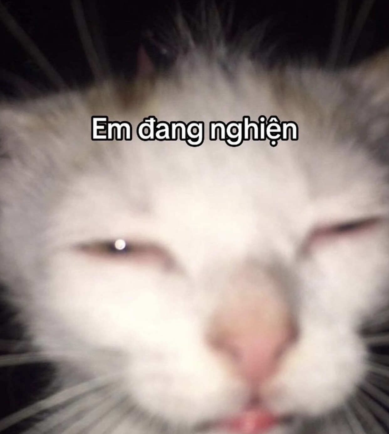 165402-bccc47aaca06.jpeg