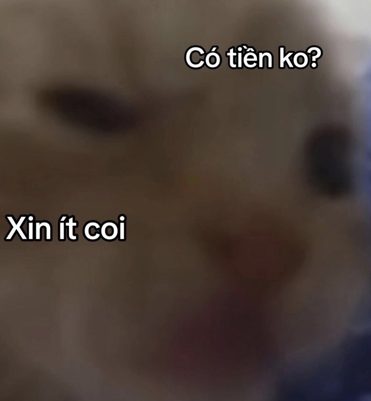 165403-fc56f6e48b88.jpeg