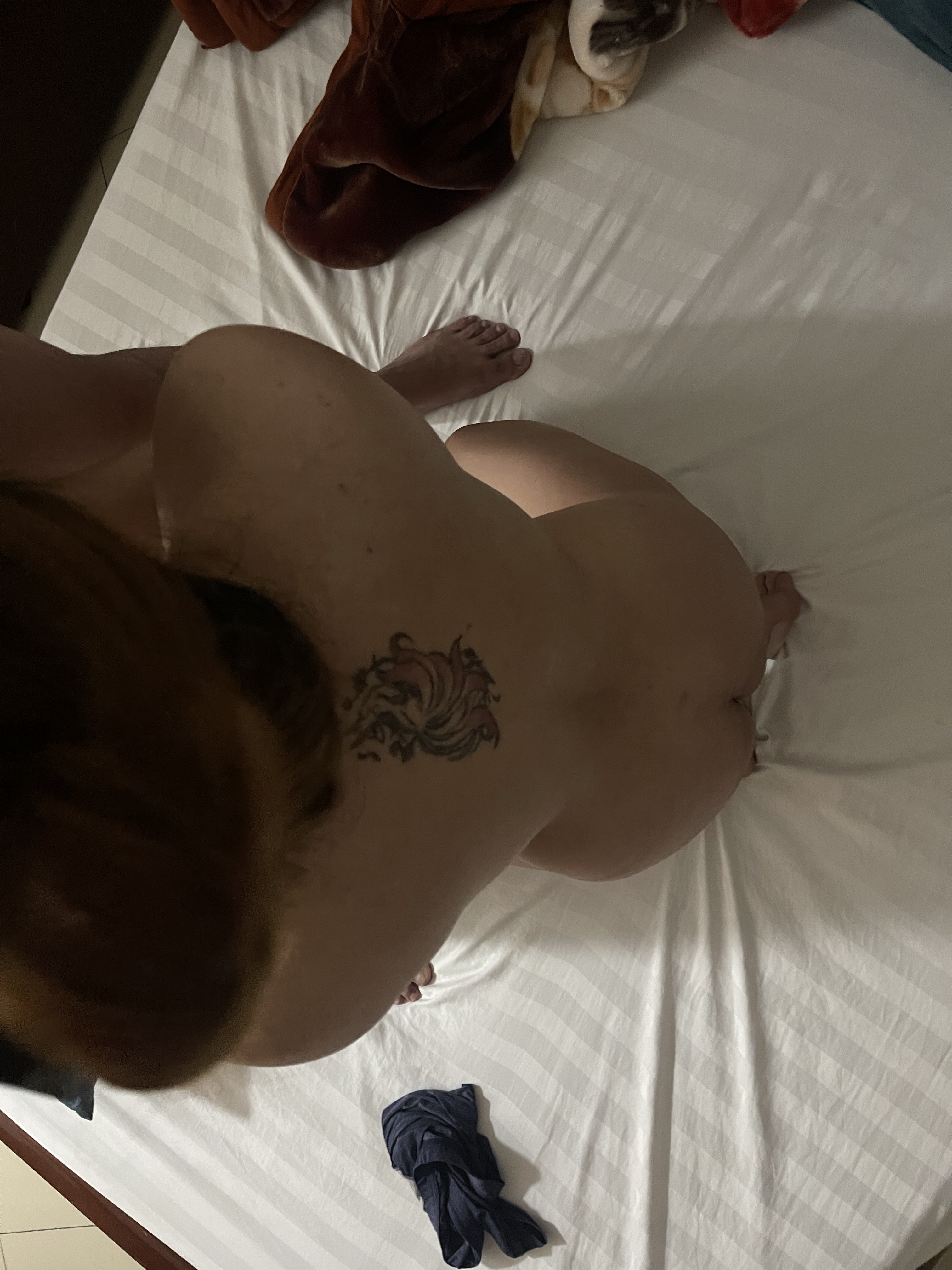 165987-095abd700007.jpg