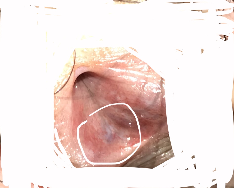 169804-8a352933c19e.jpeg