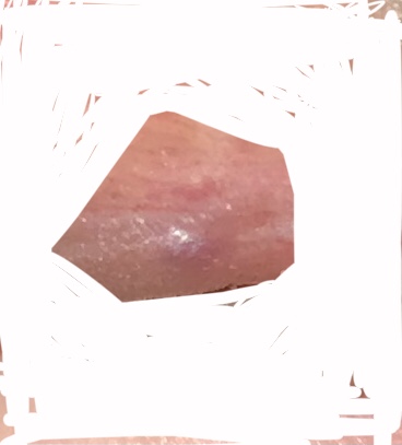 169936-120245163c9a.jpeg