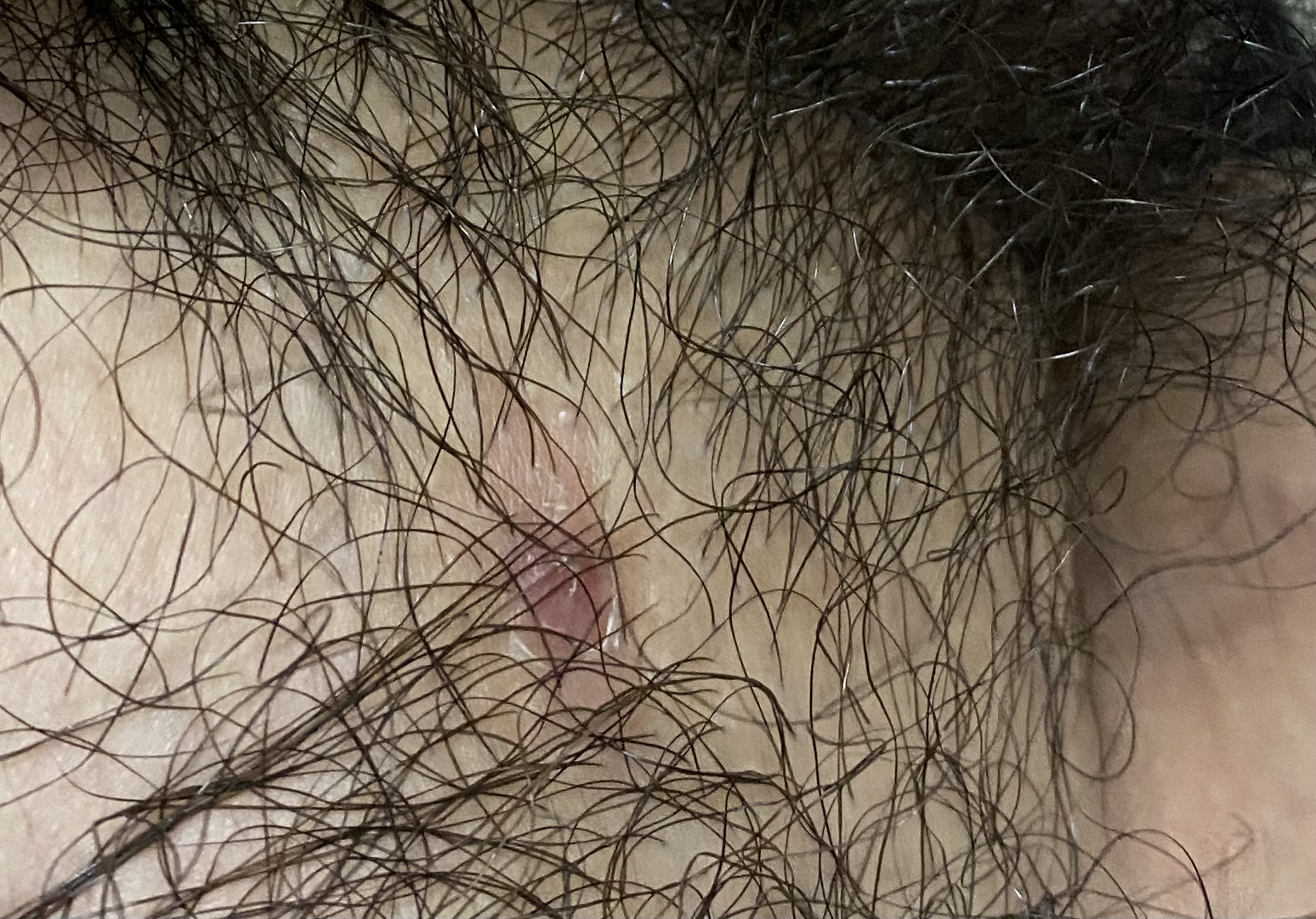 17017-4f3f21bcd9e2.jpeg