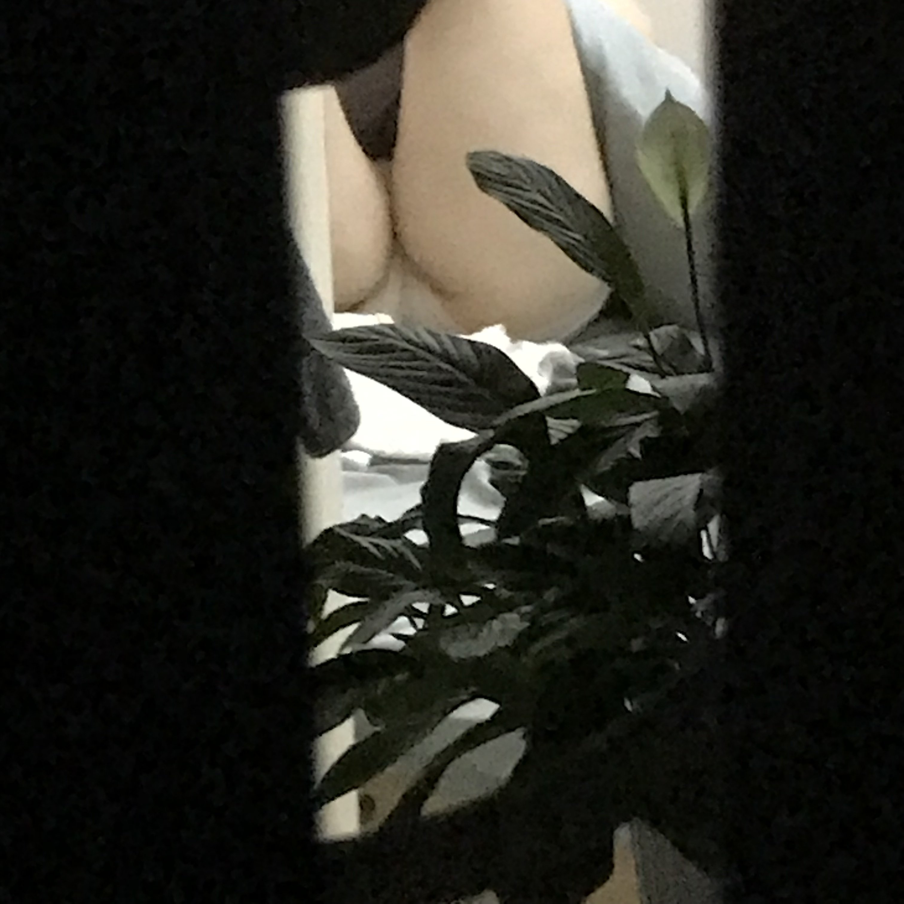 185390-45fcbb045731.jpeg
