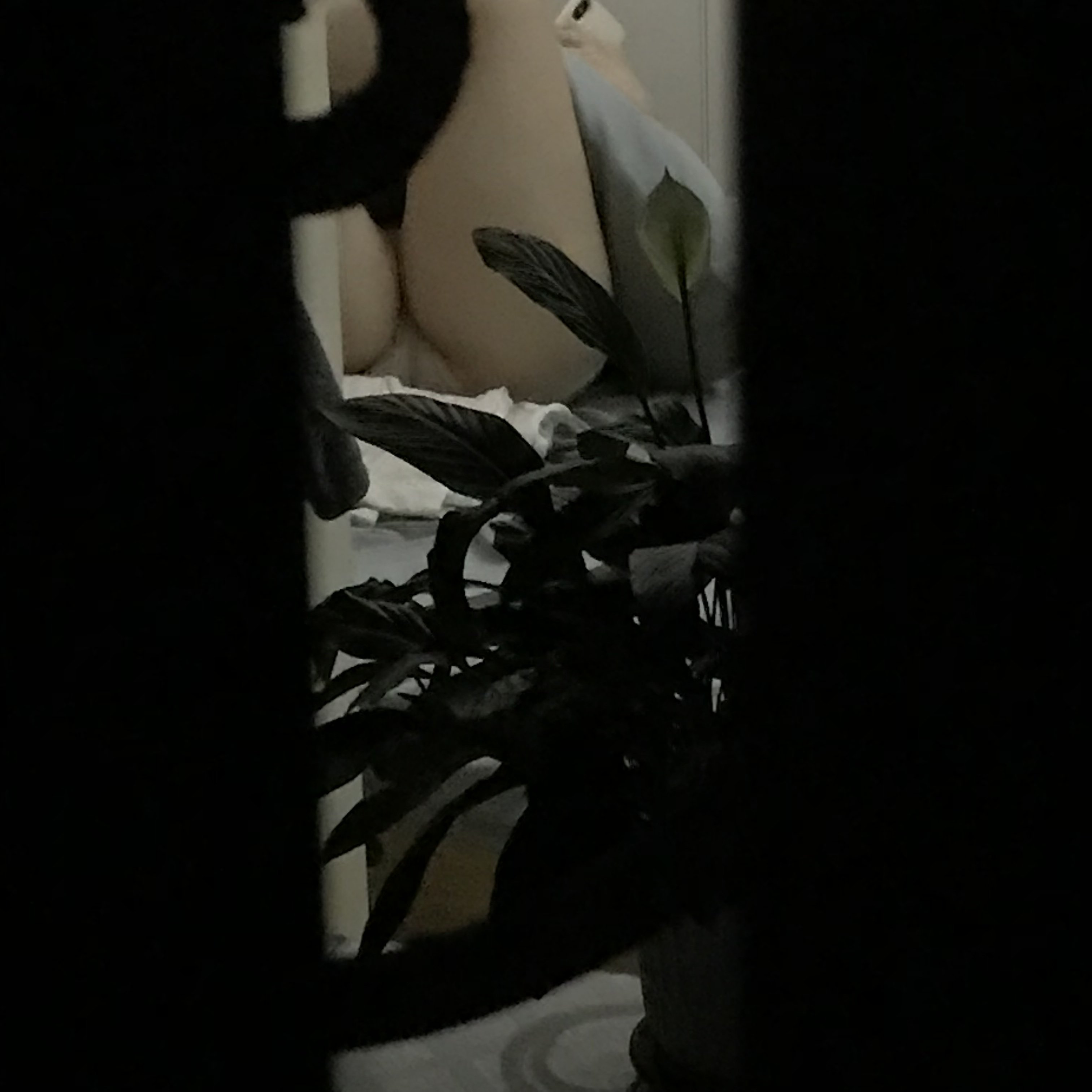 185391-ebdbd4462ca7.jpeg