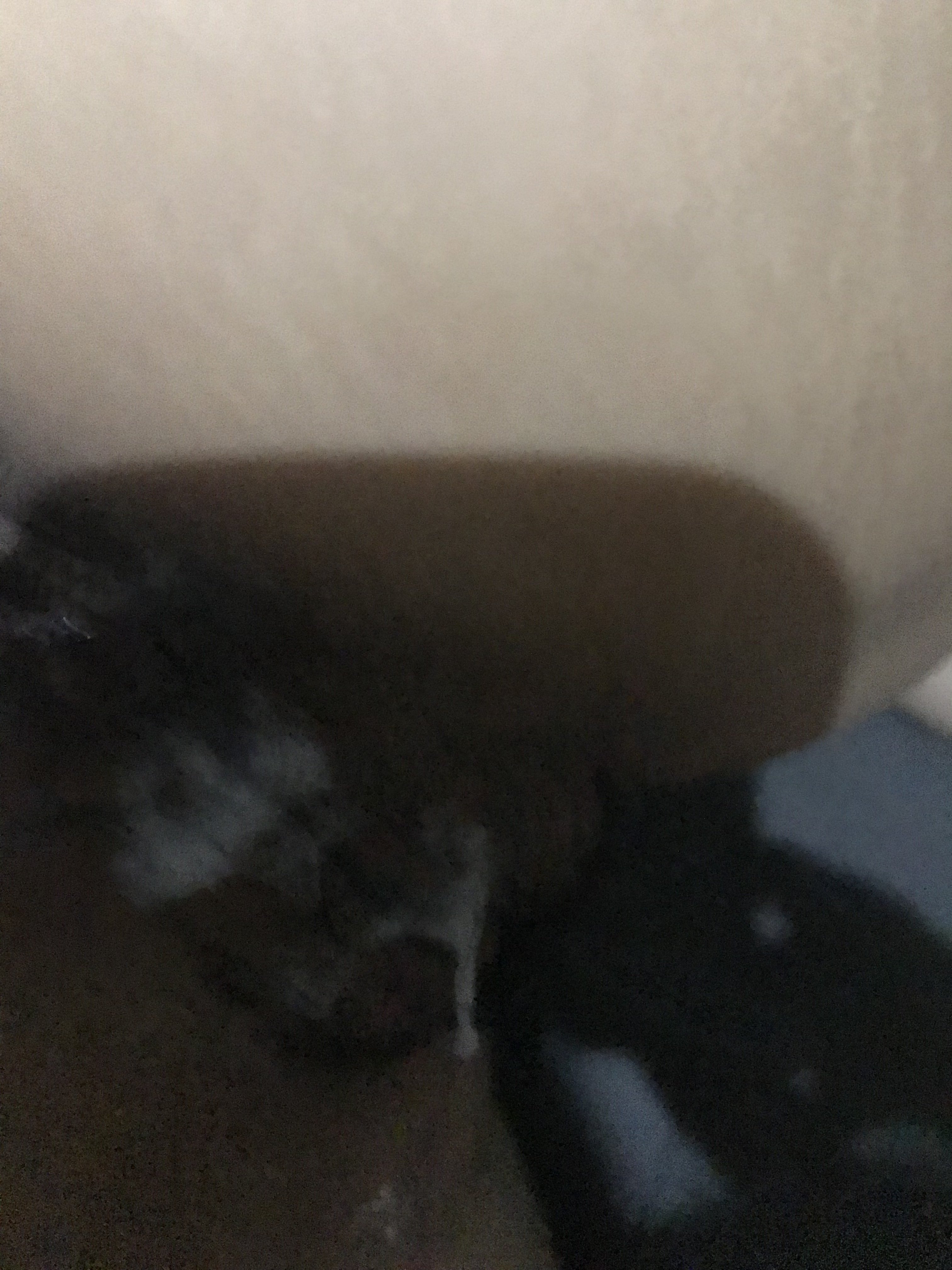 189479-eeca4691b6a8.jpeg