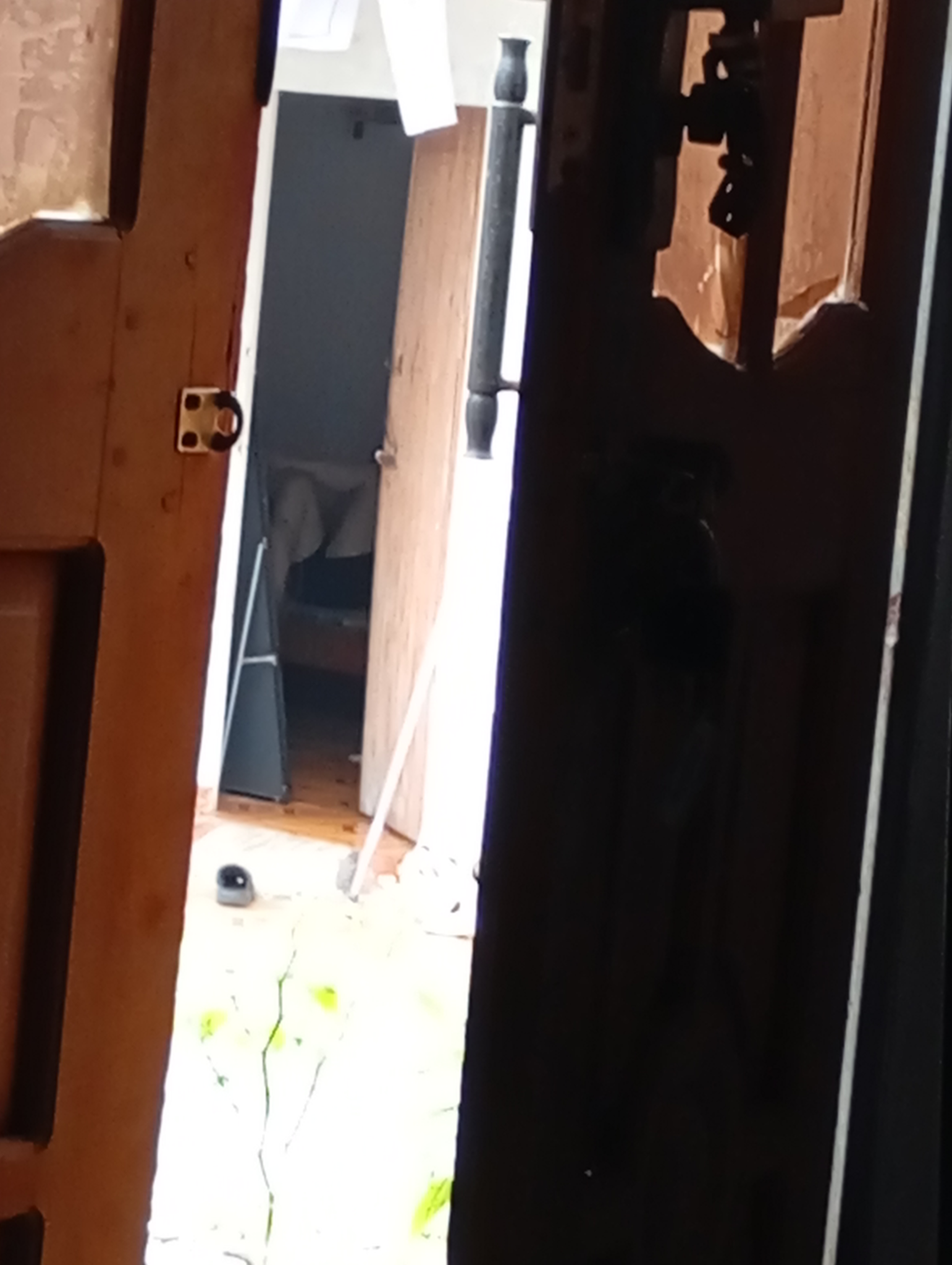 190297-2ebcd352136c.jpg