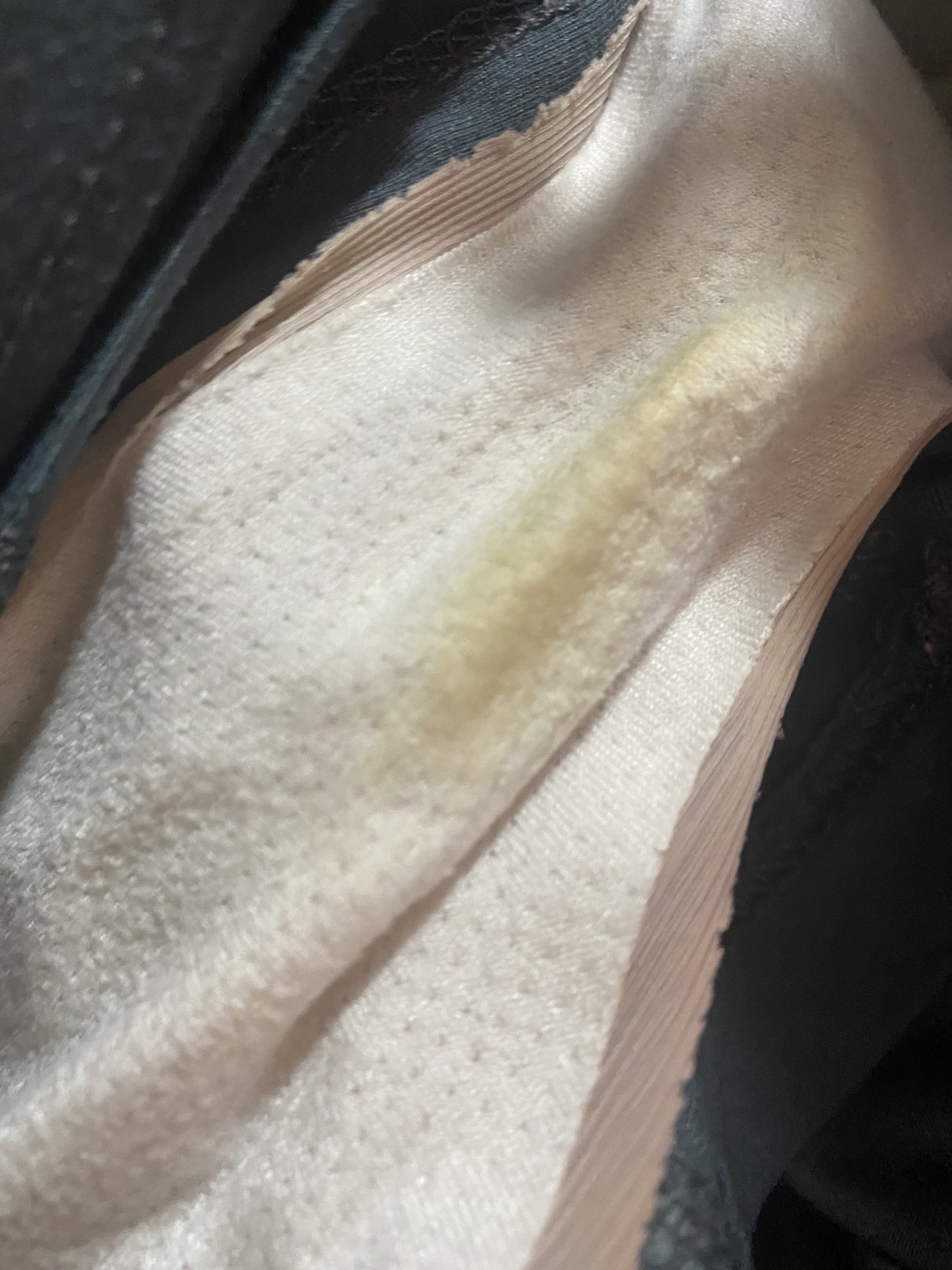 190327-83c2cb28f337.jpeg