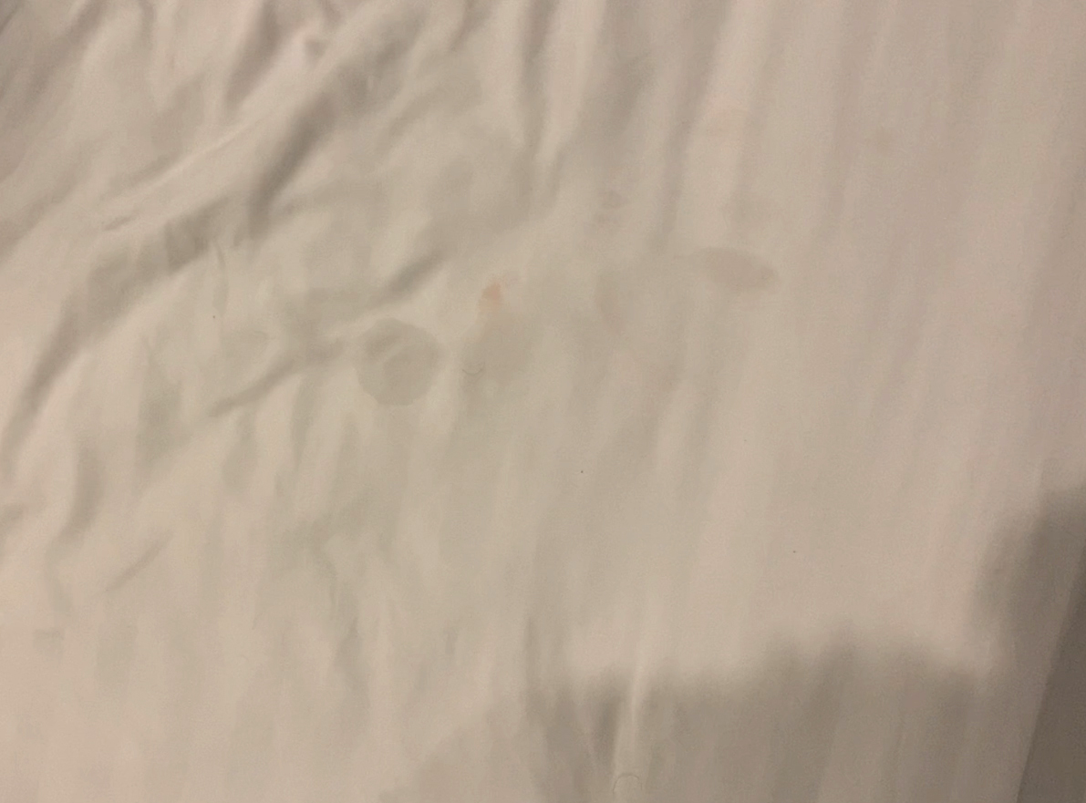 191228-cdcd158cf236.jpg