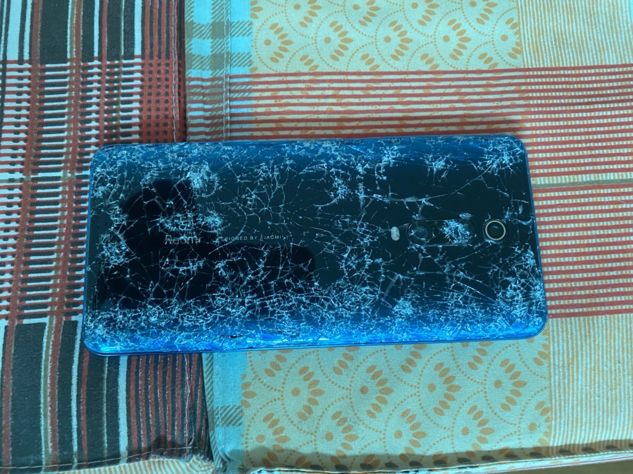 198644-4e33c9faea9d.jpg
