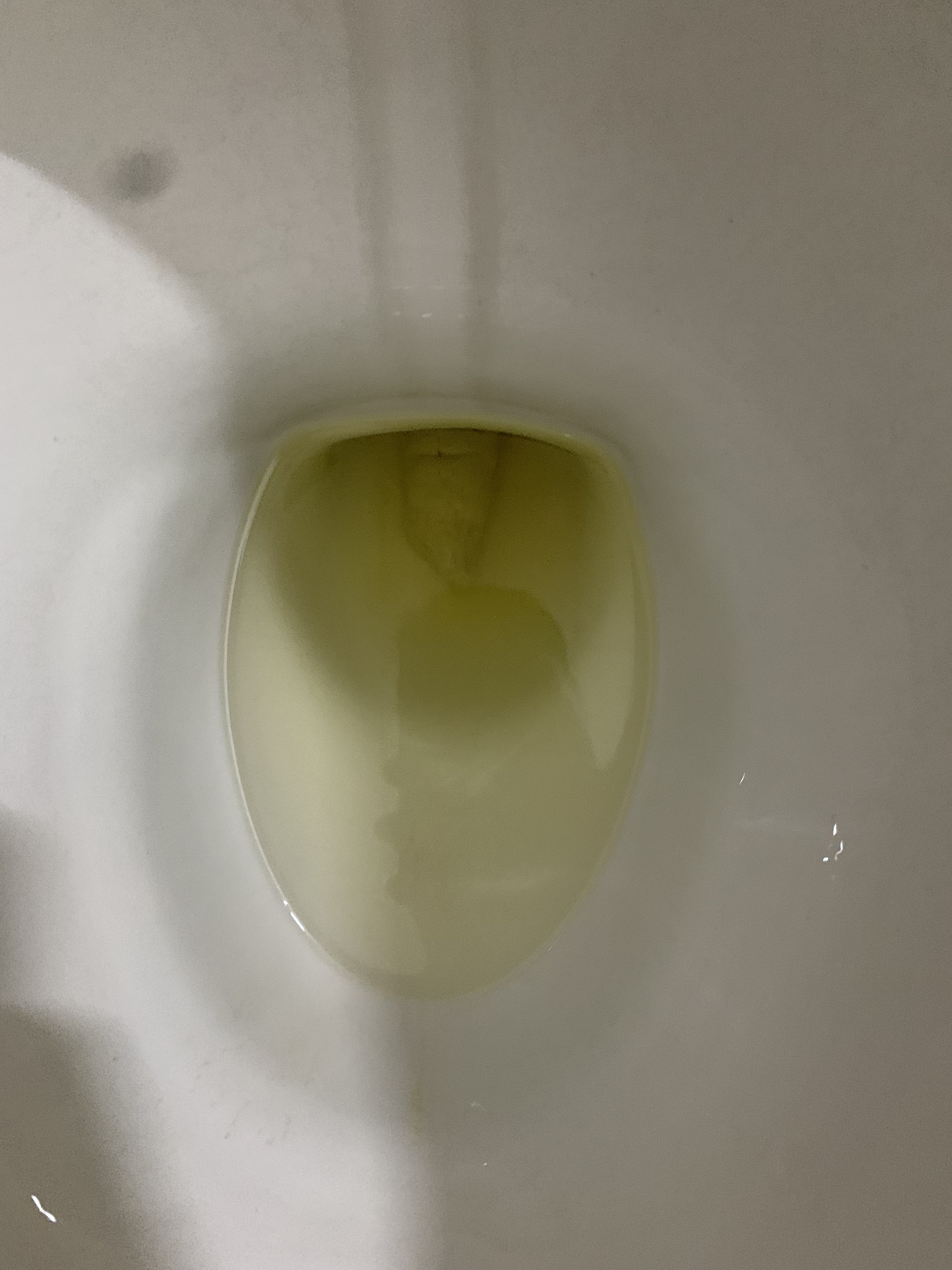 199465-ddc5f0039604.jpeg