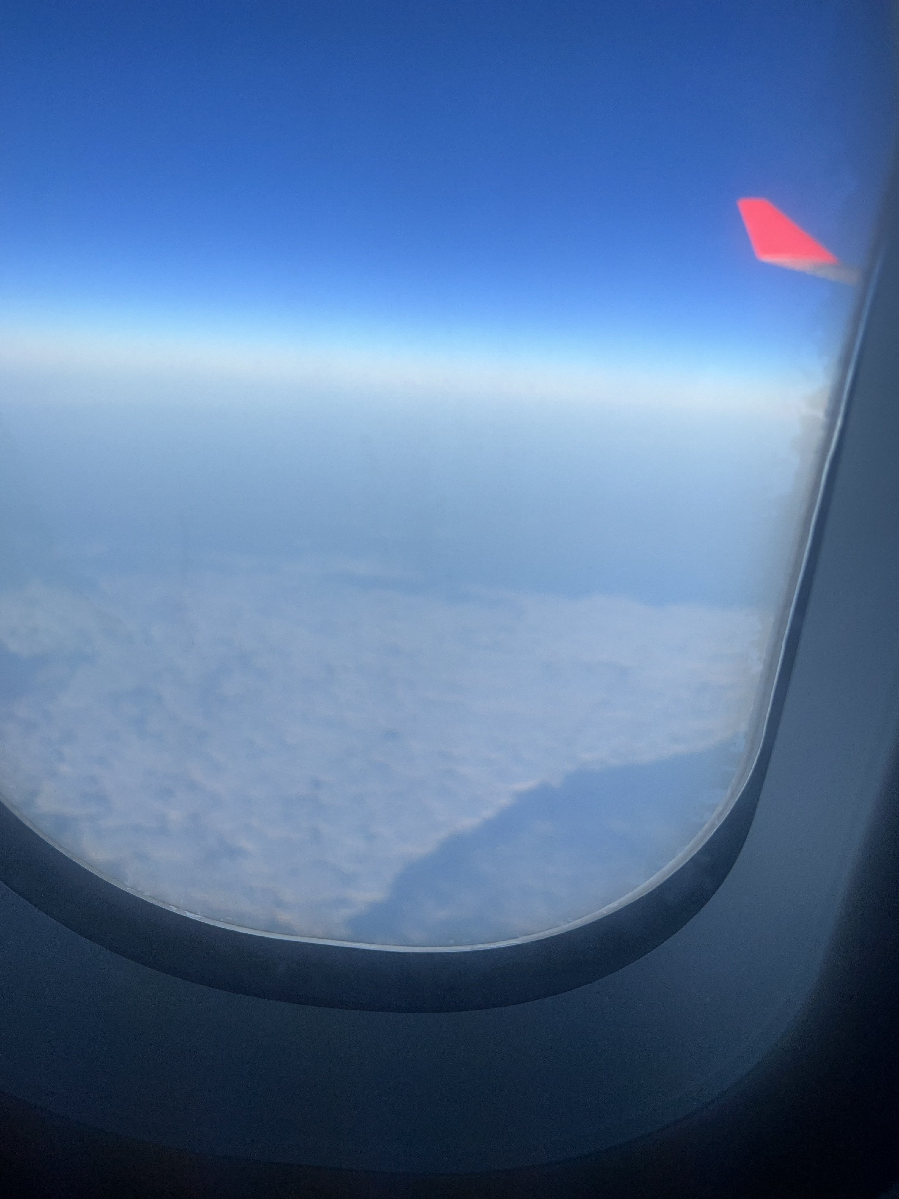 202195-be6a8d333716.jpeg