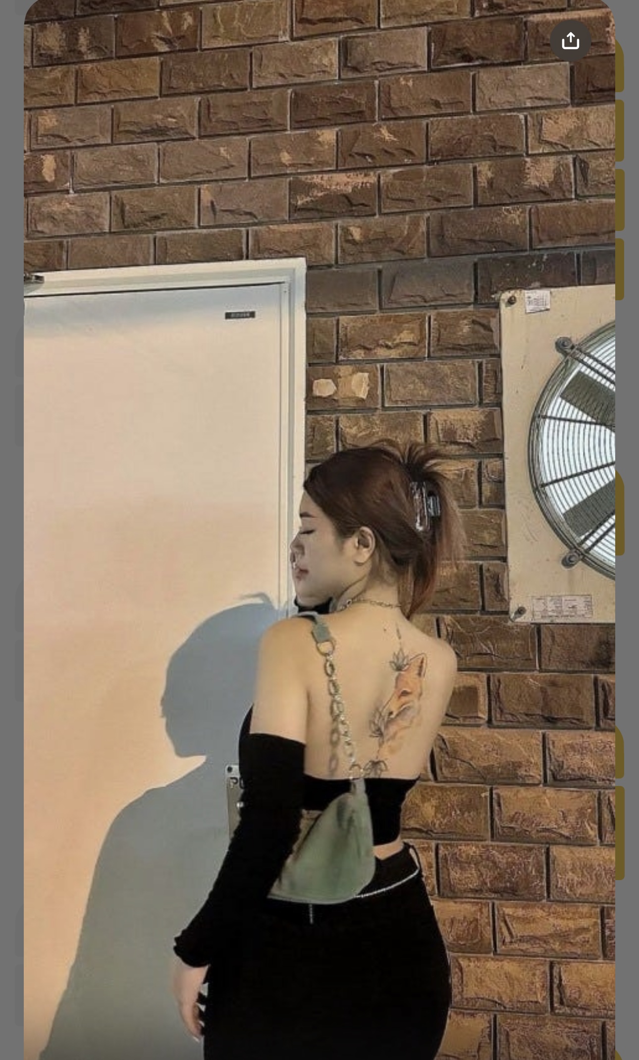 208219-a3753fe06851.jpeg