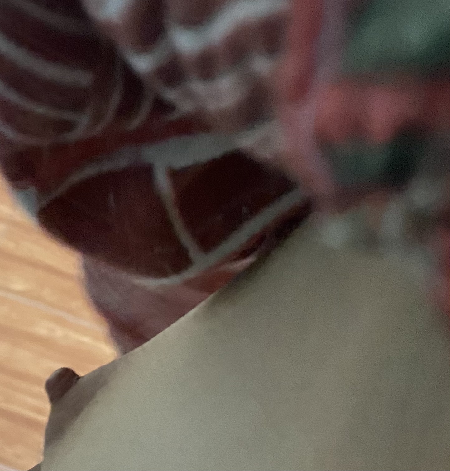 210004-8158ffdd467d.jpeg