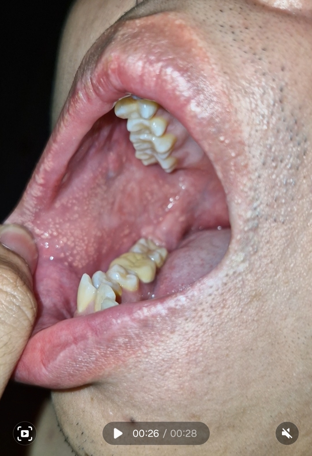 210010-8e69ec460ed9.jpg