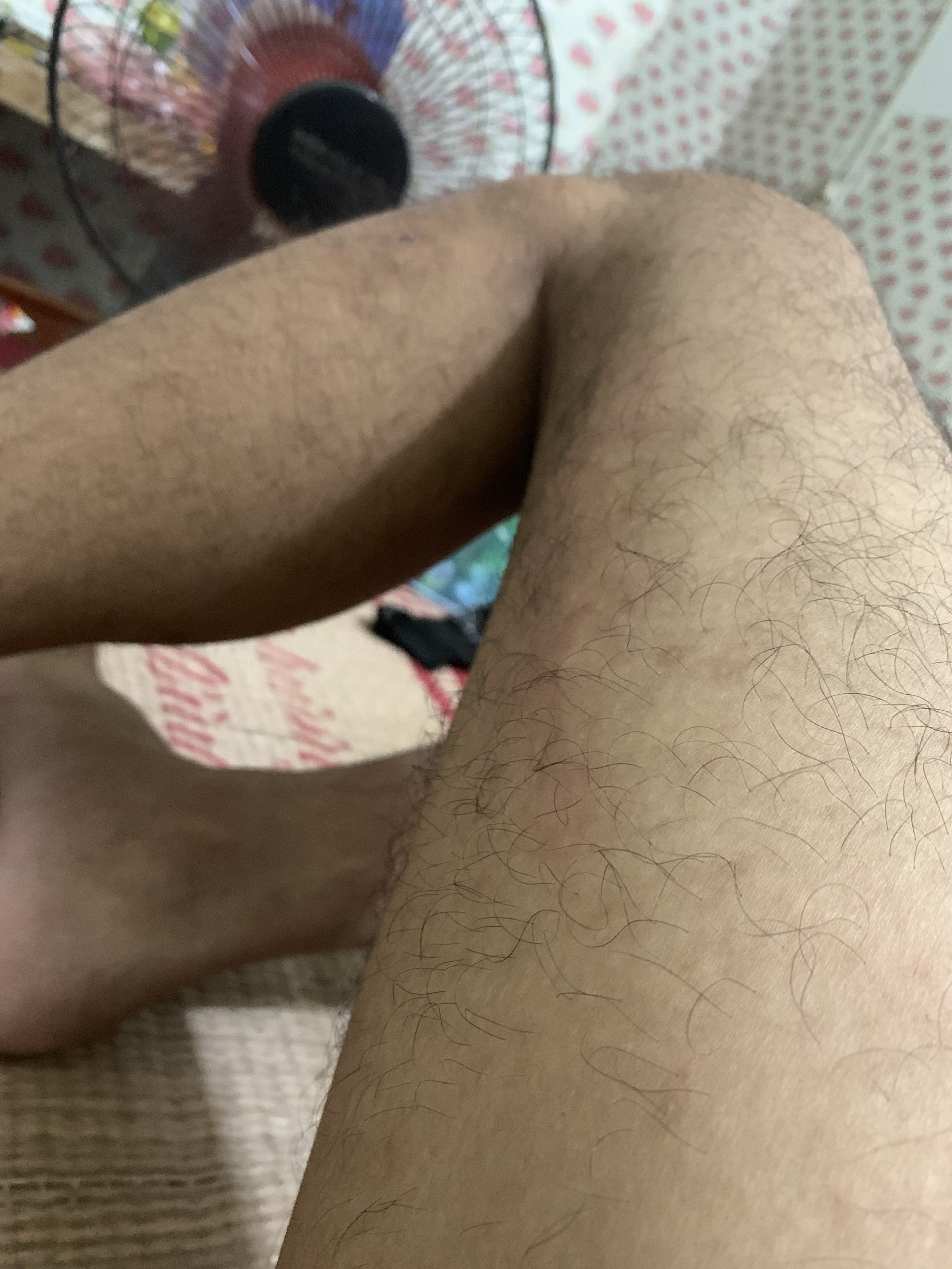 212588-288a46f19a39.jpeg