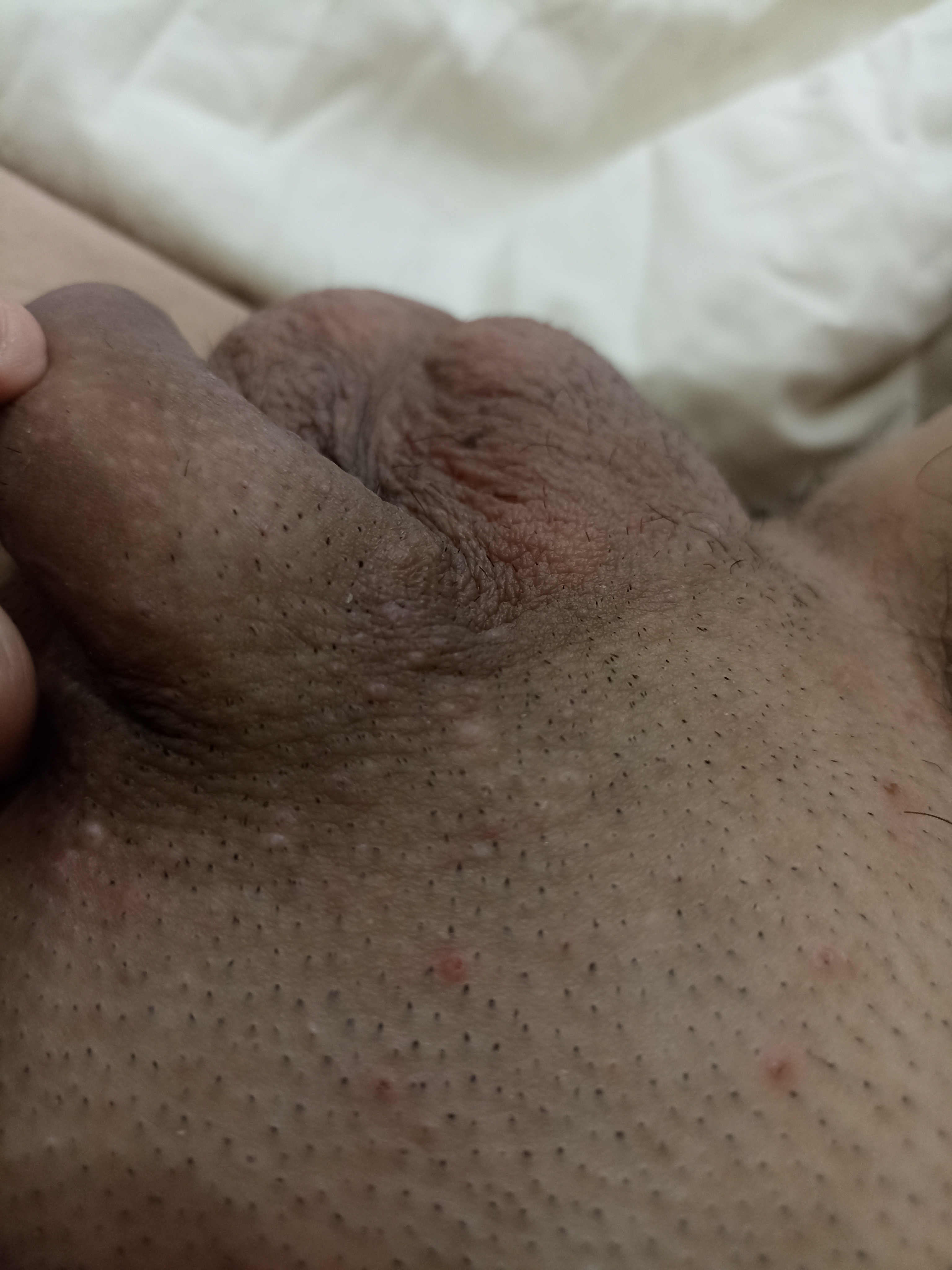 213558-4febd51268f2.jpg