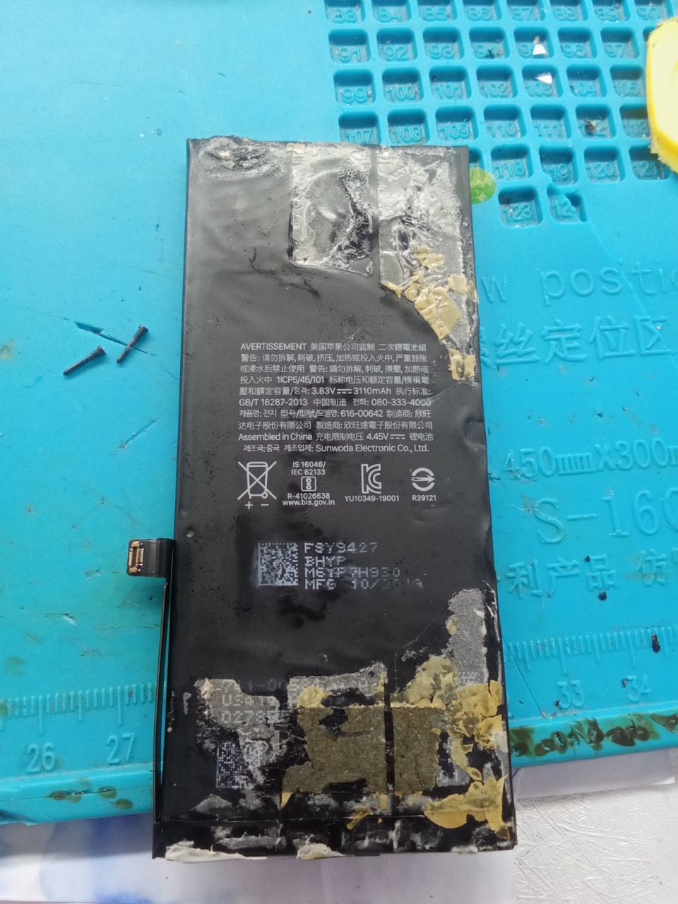 215031-b8ebfa6641c0.jpg
