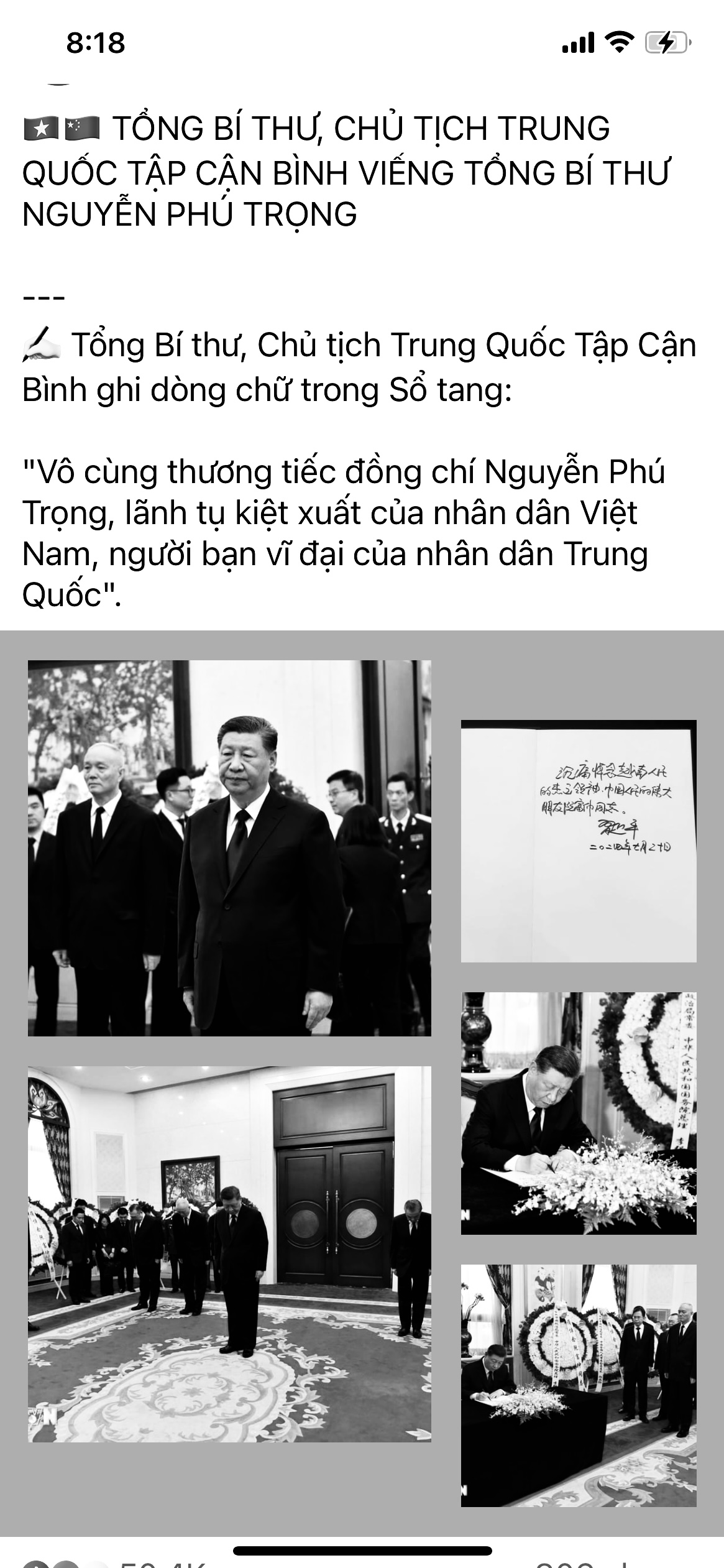 217569-811e7fb31006.jpeg