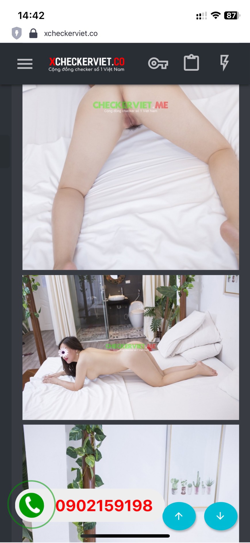 218207-d1675243dbea.jpeg