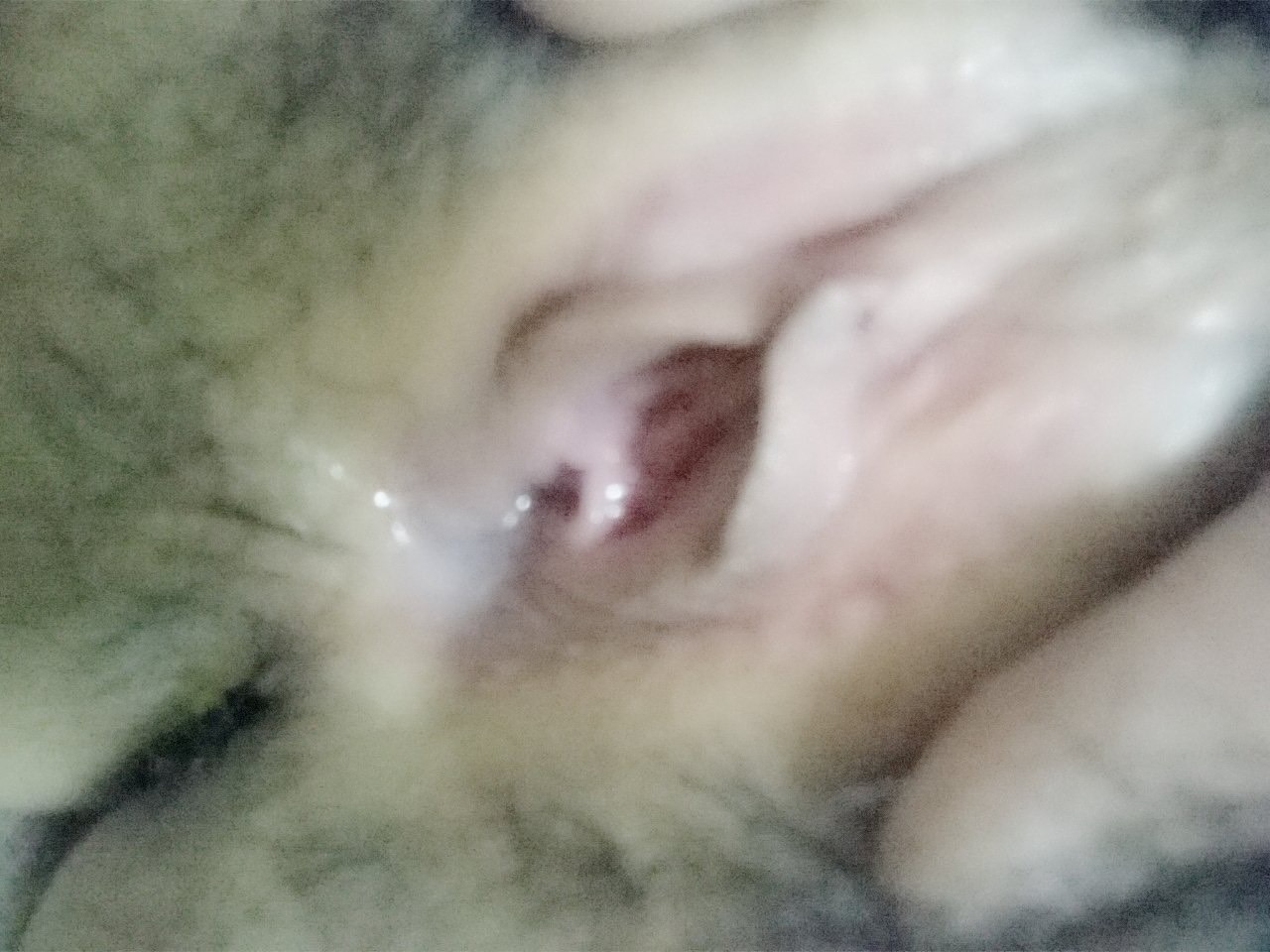220321-8759f7180459.jpeg