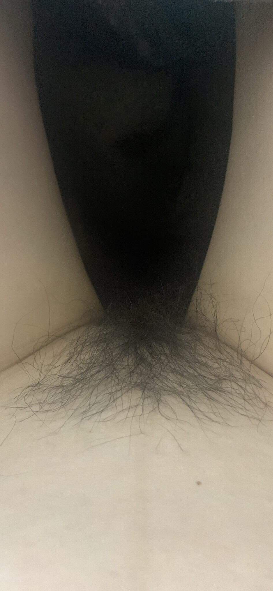 223486-6f9bc87a0d86.jpeg