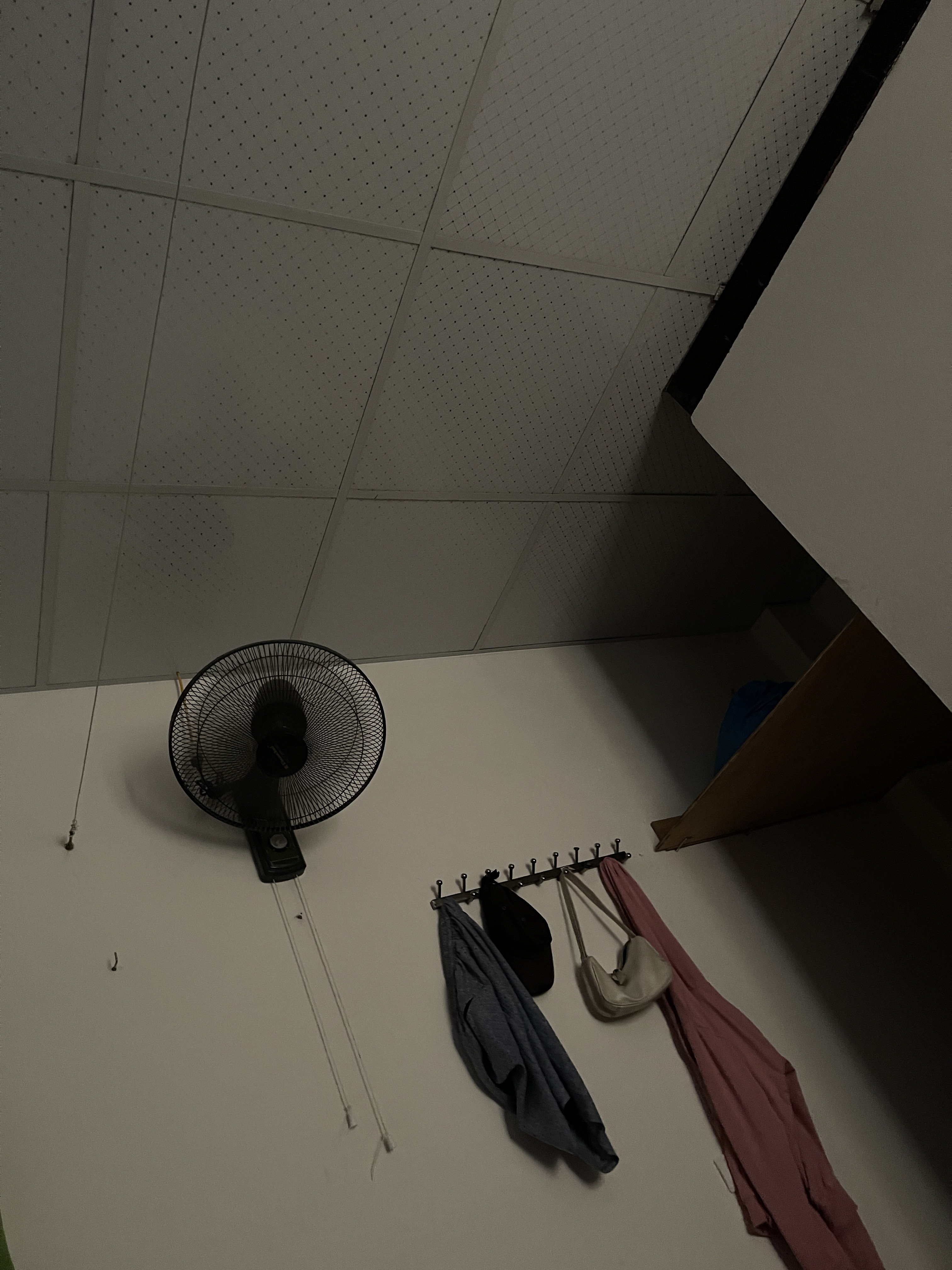 224756-274f752be446.jpeg
