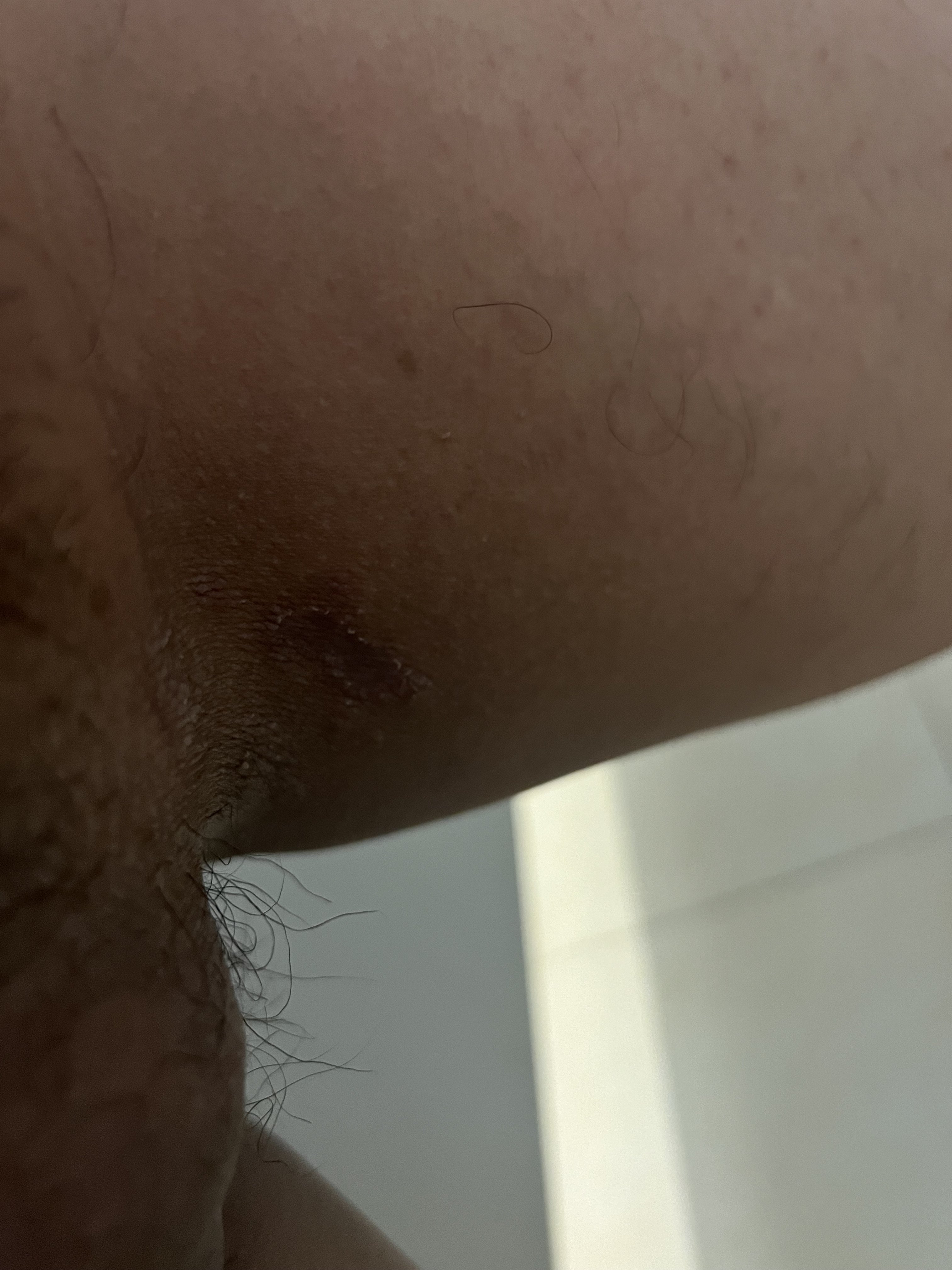 230743-f9064c6d5739.jpeg