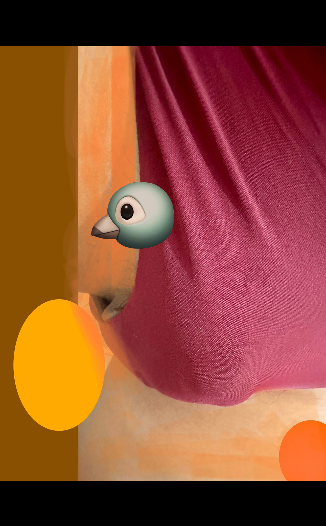 231010-a2010053d067.jpeg