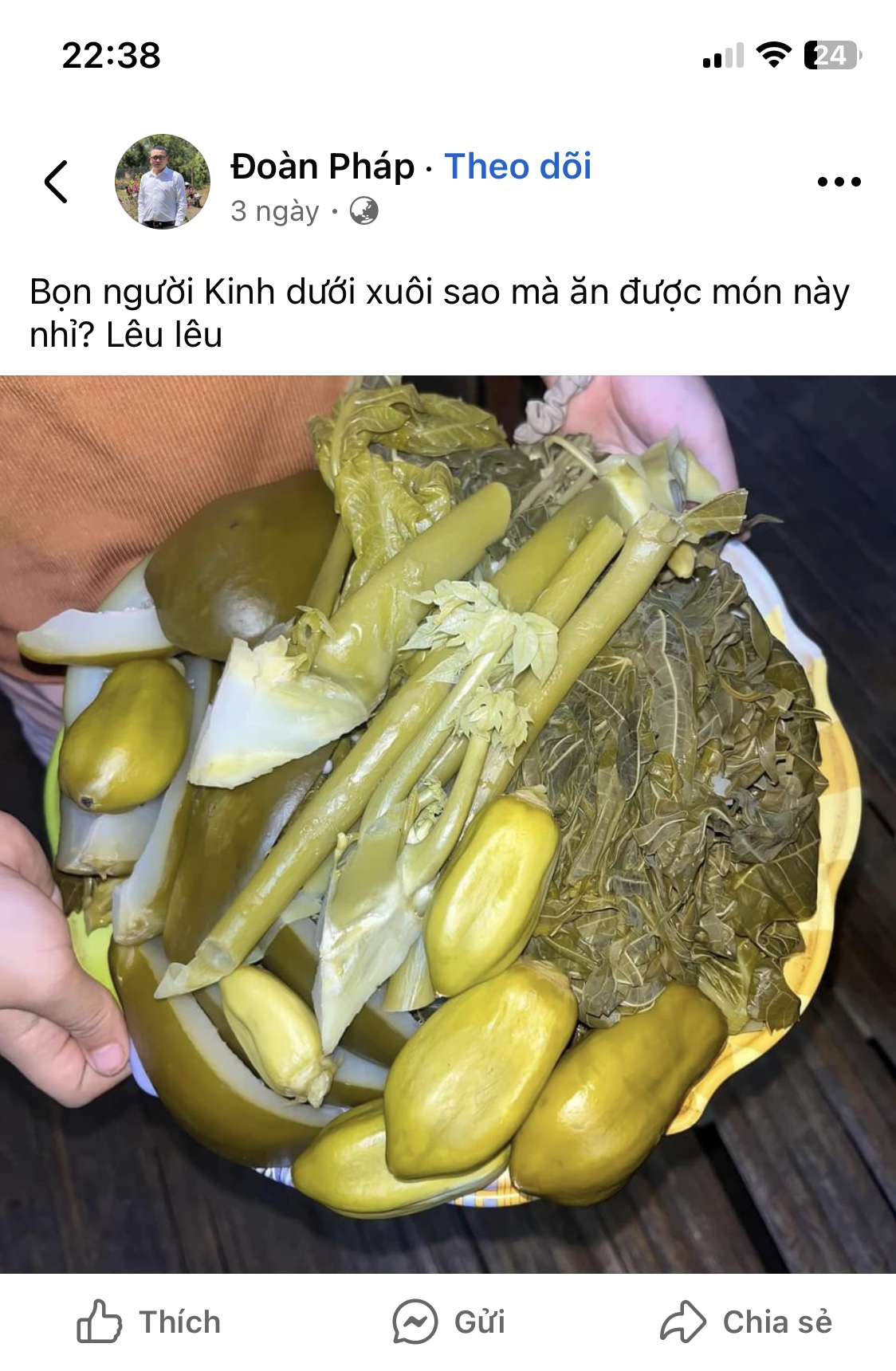 232318-4d21bb9502c6.jpeg