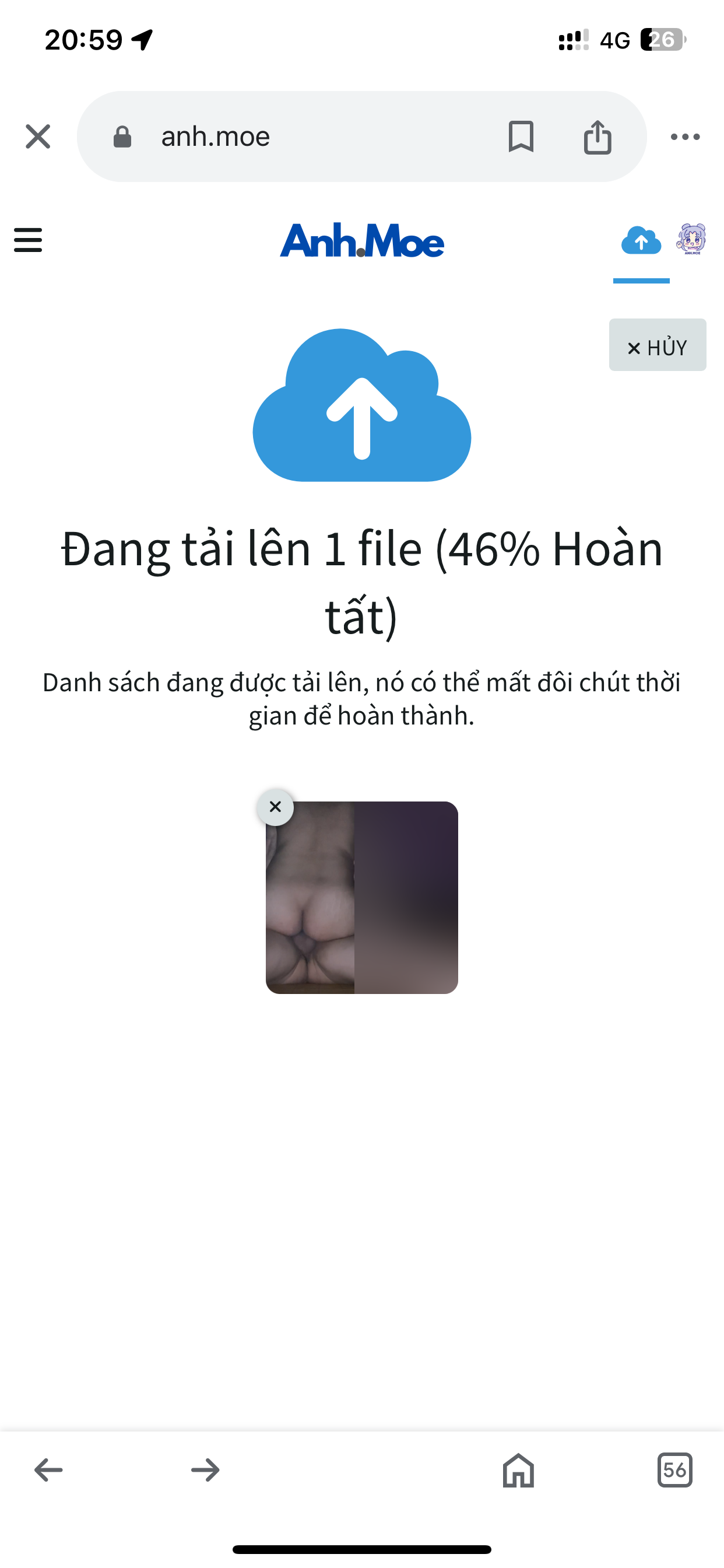 238127-2443d8d559e2.png