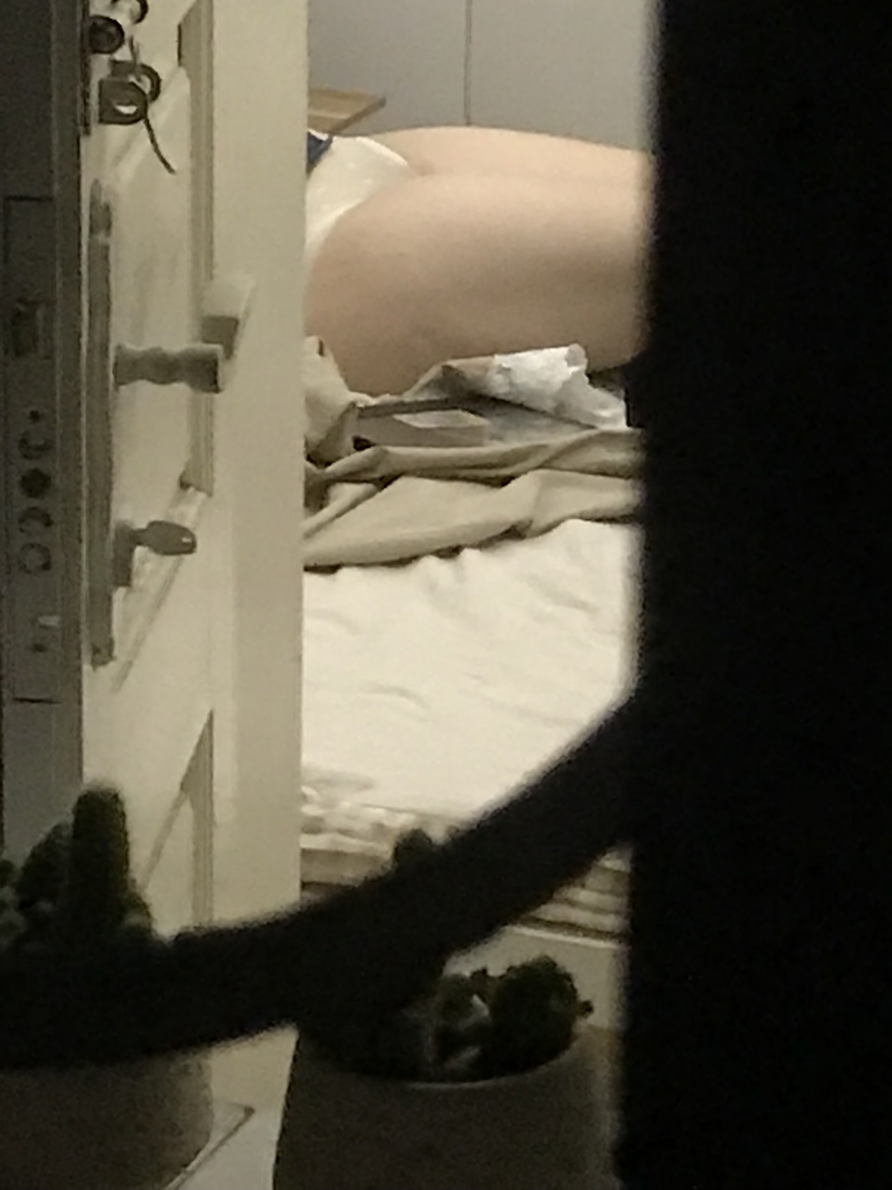 238326-f360fd4b6a64.jpeg