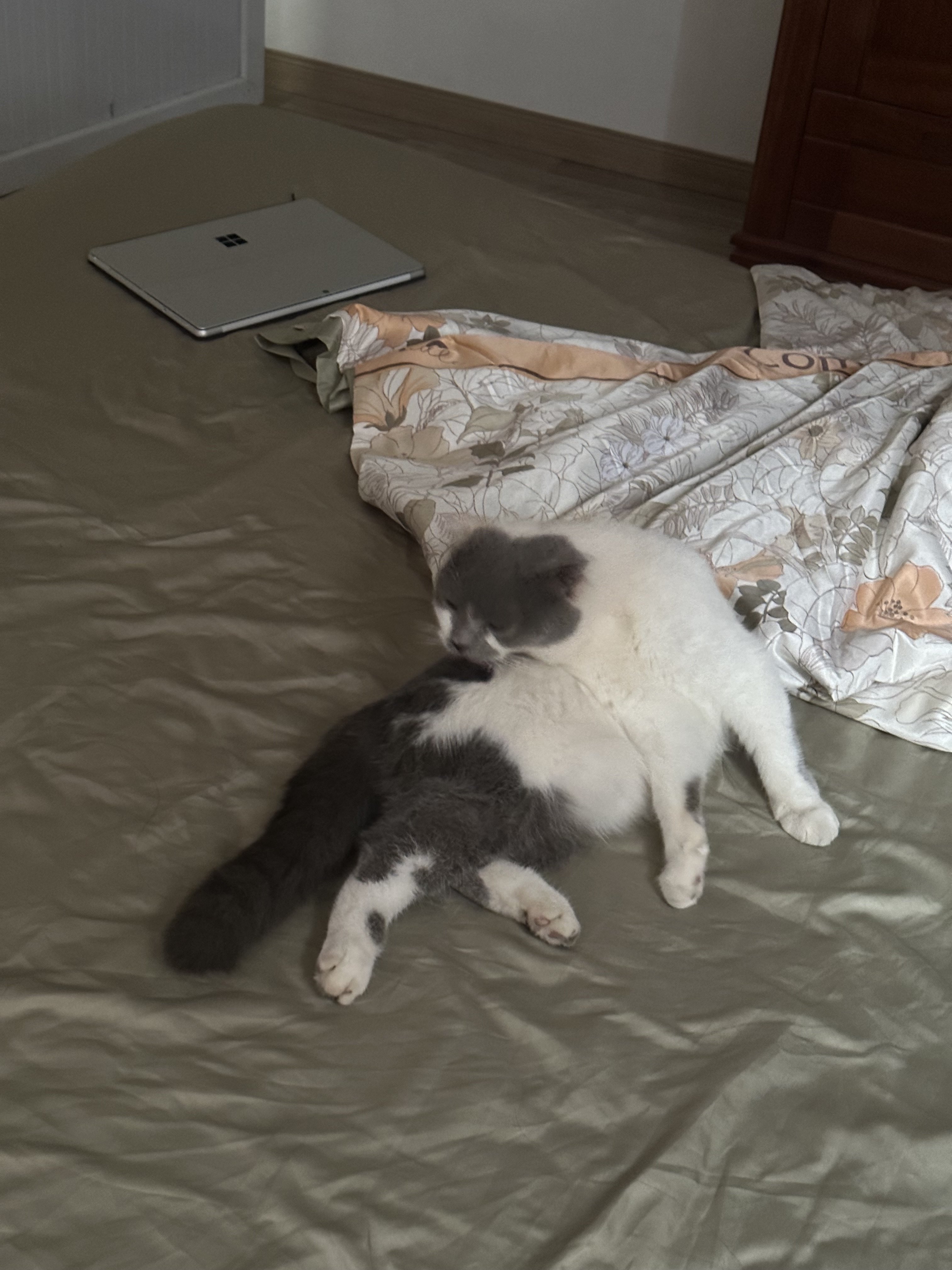 238646-3c9cb74ee153.jpeg
