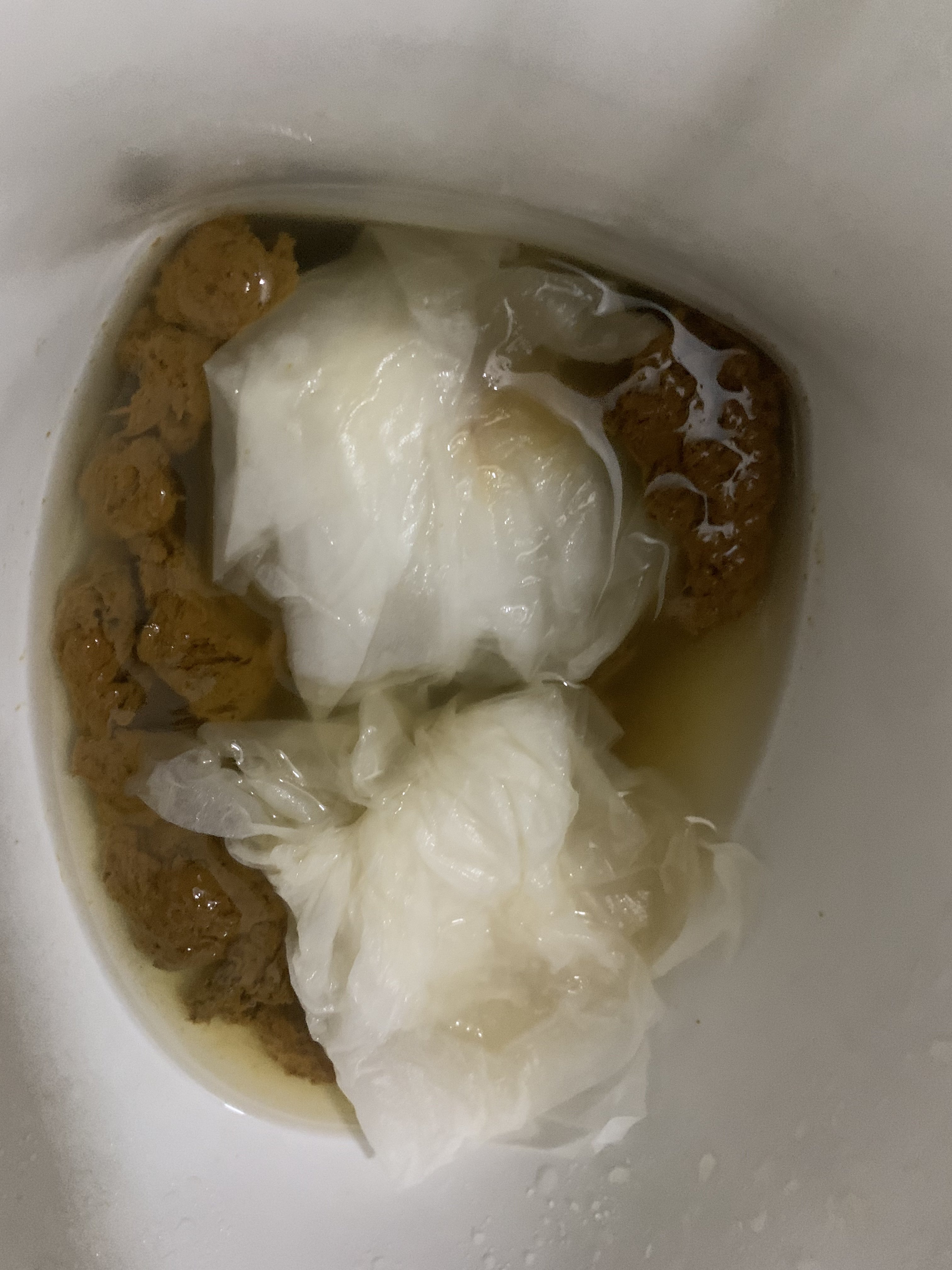 239492-e2f0410a4071.jpeg