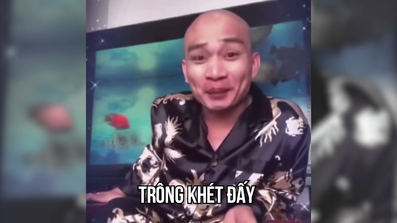 239795-c5dff254fd84.jpeg