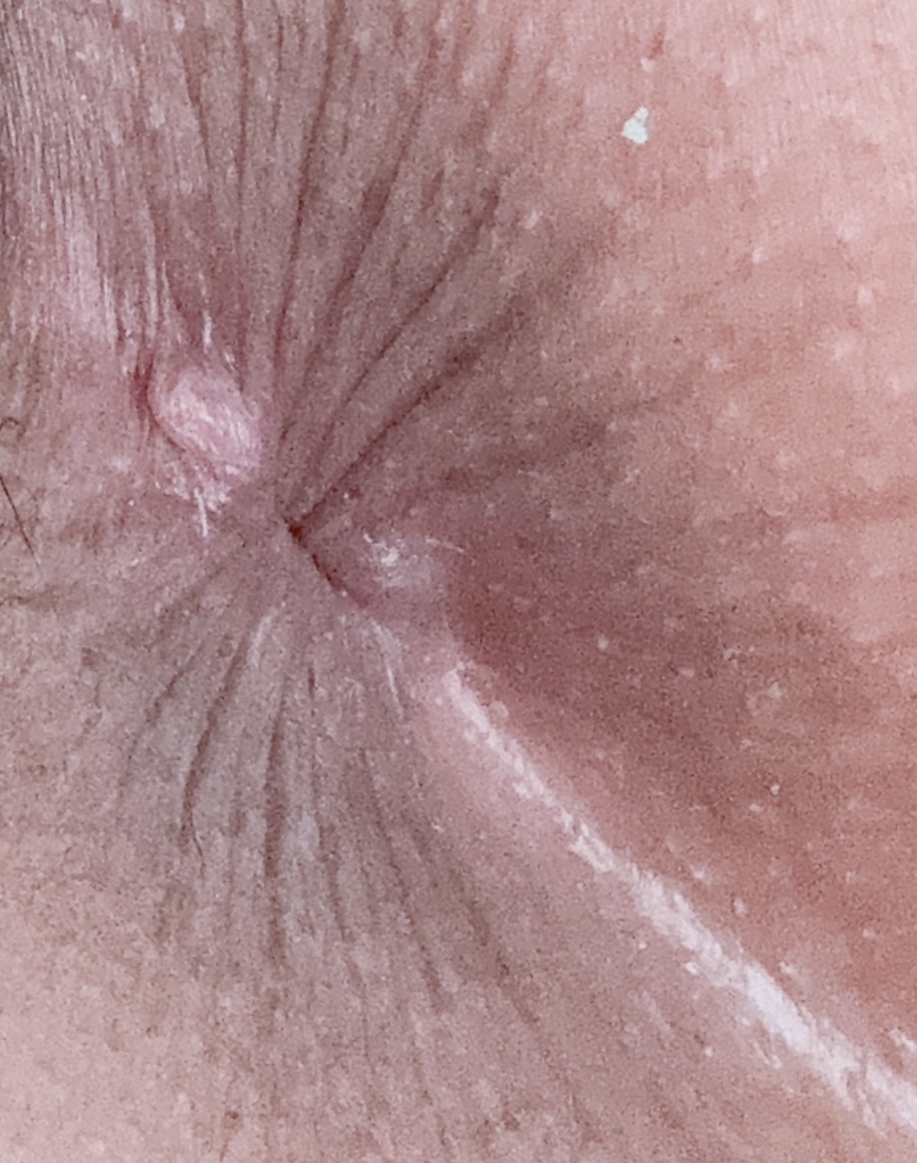 240708-29de58c7ad94.jpeg