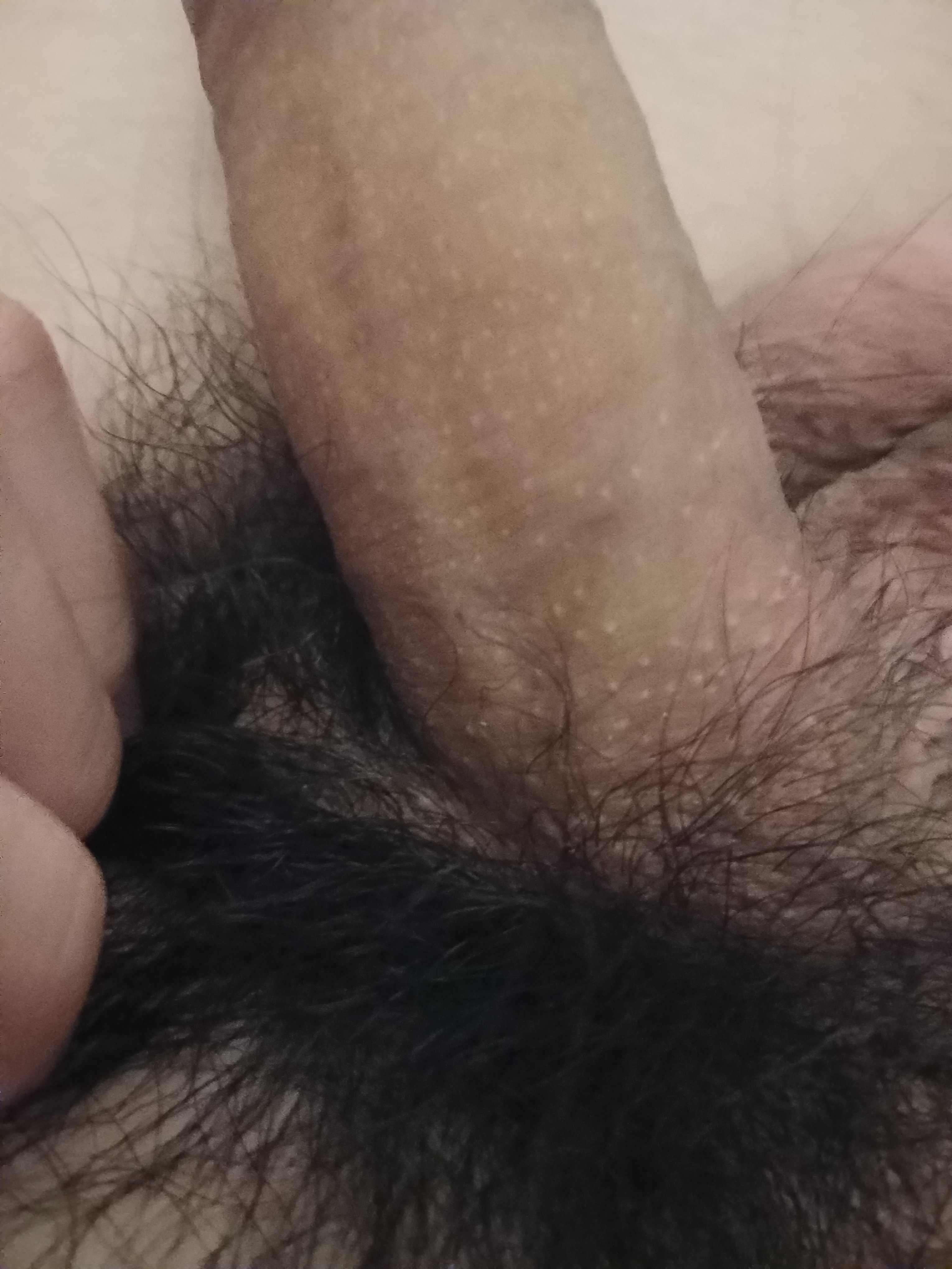 241217-94605c543c51.jpg