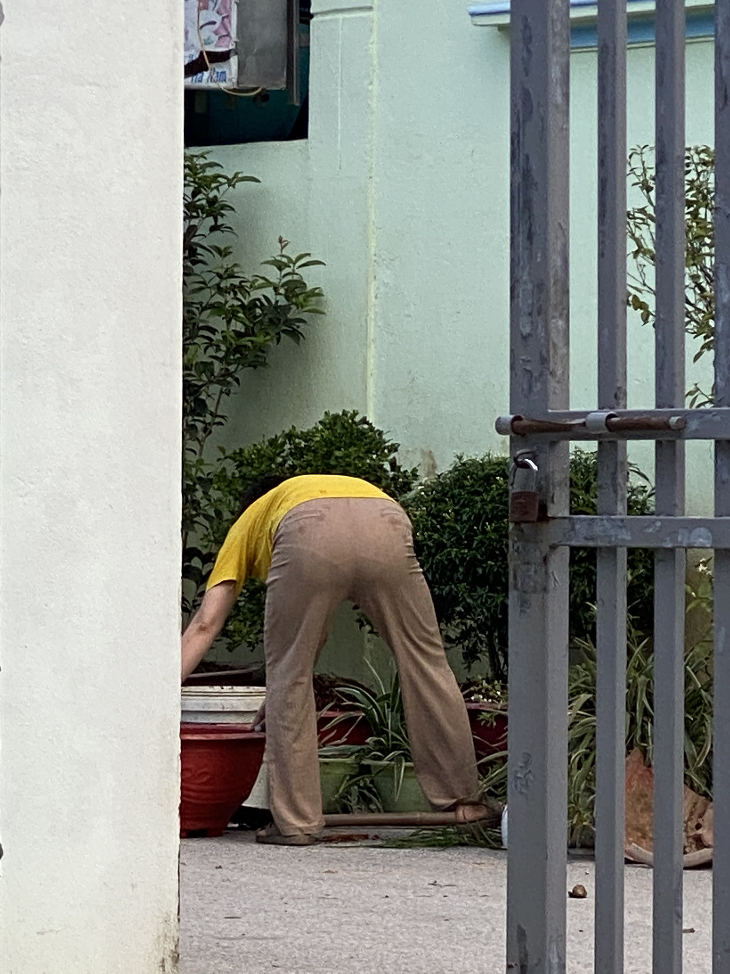 241823-c12213cc2954.jpeg
