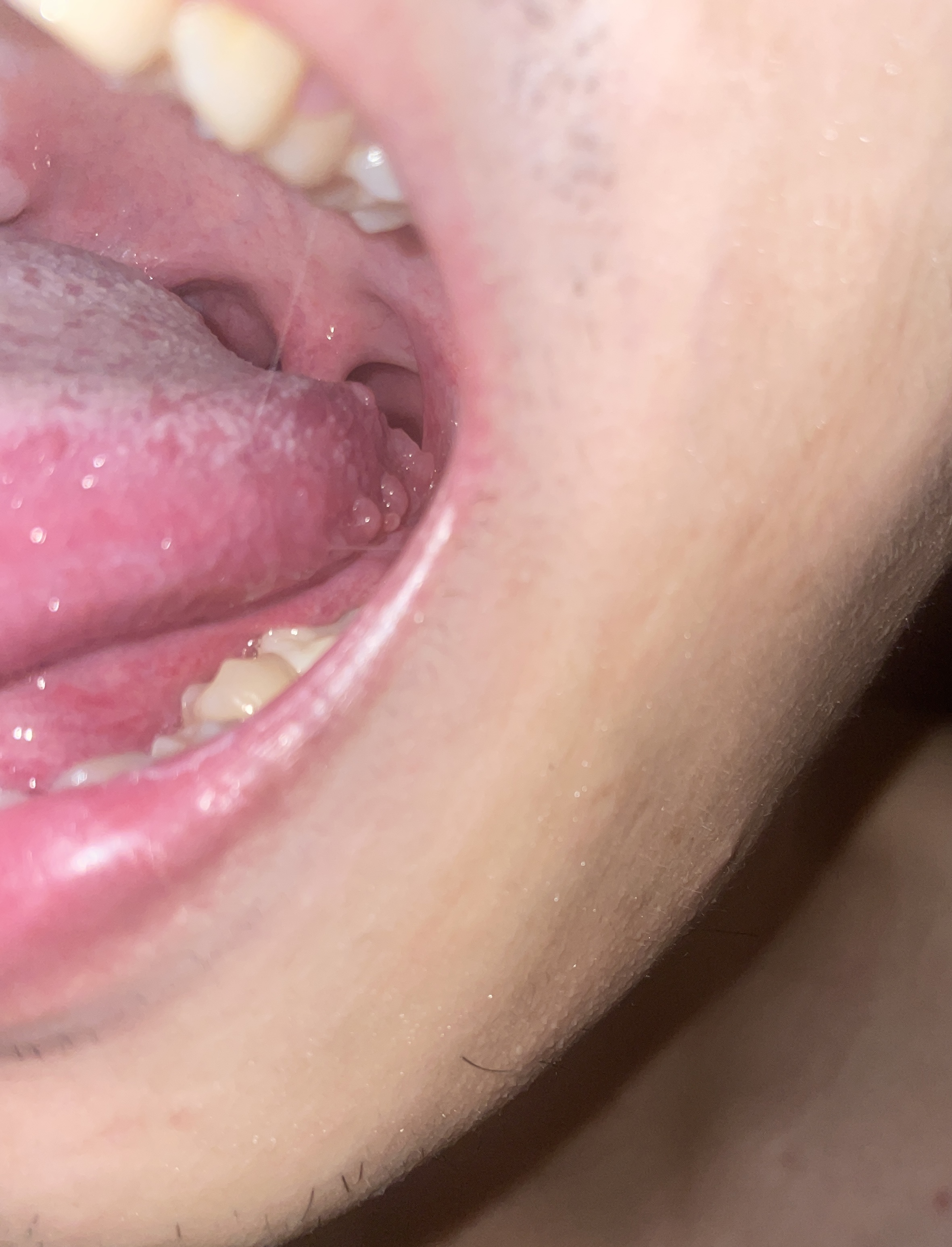 242035-fe60921a60a0.jpeg
