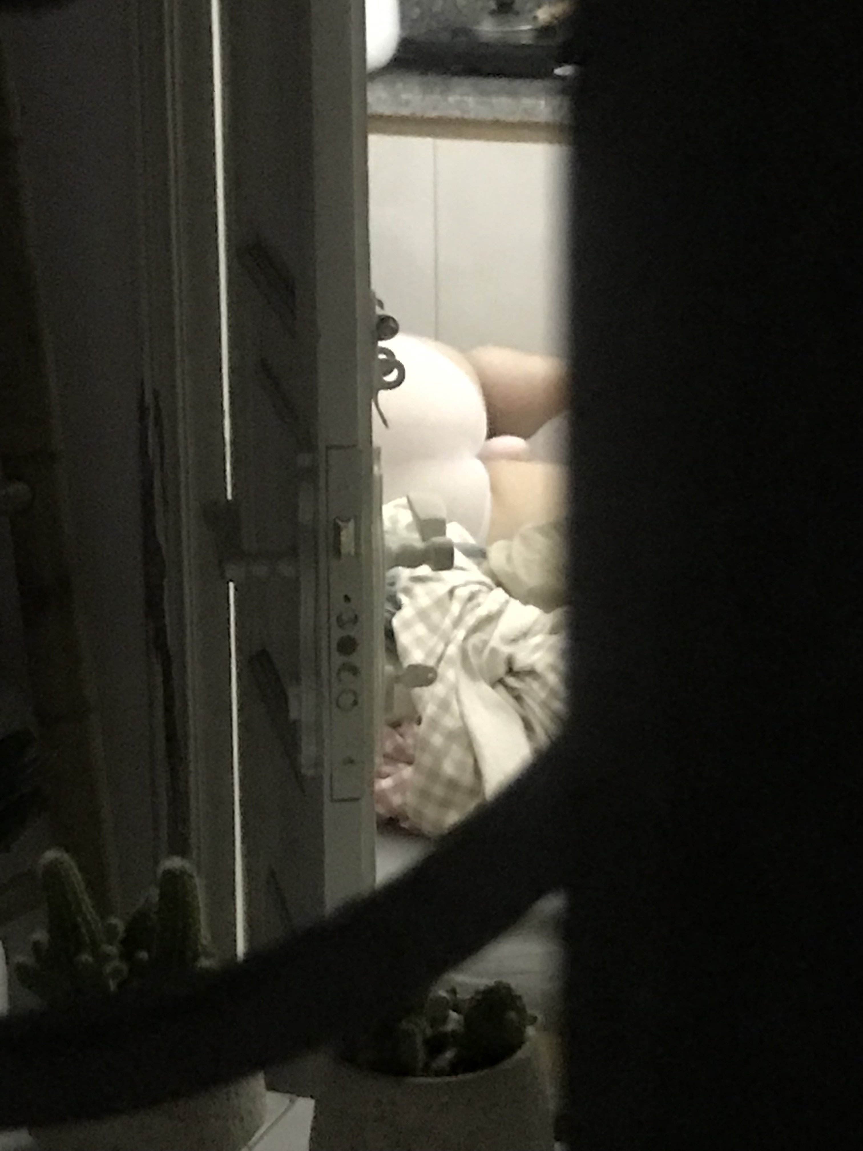 243601-cb5769f3cf41.jpeg